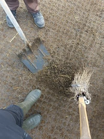 👥 Gemeinsam statt einsam.