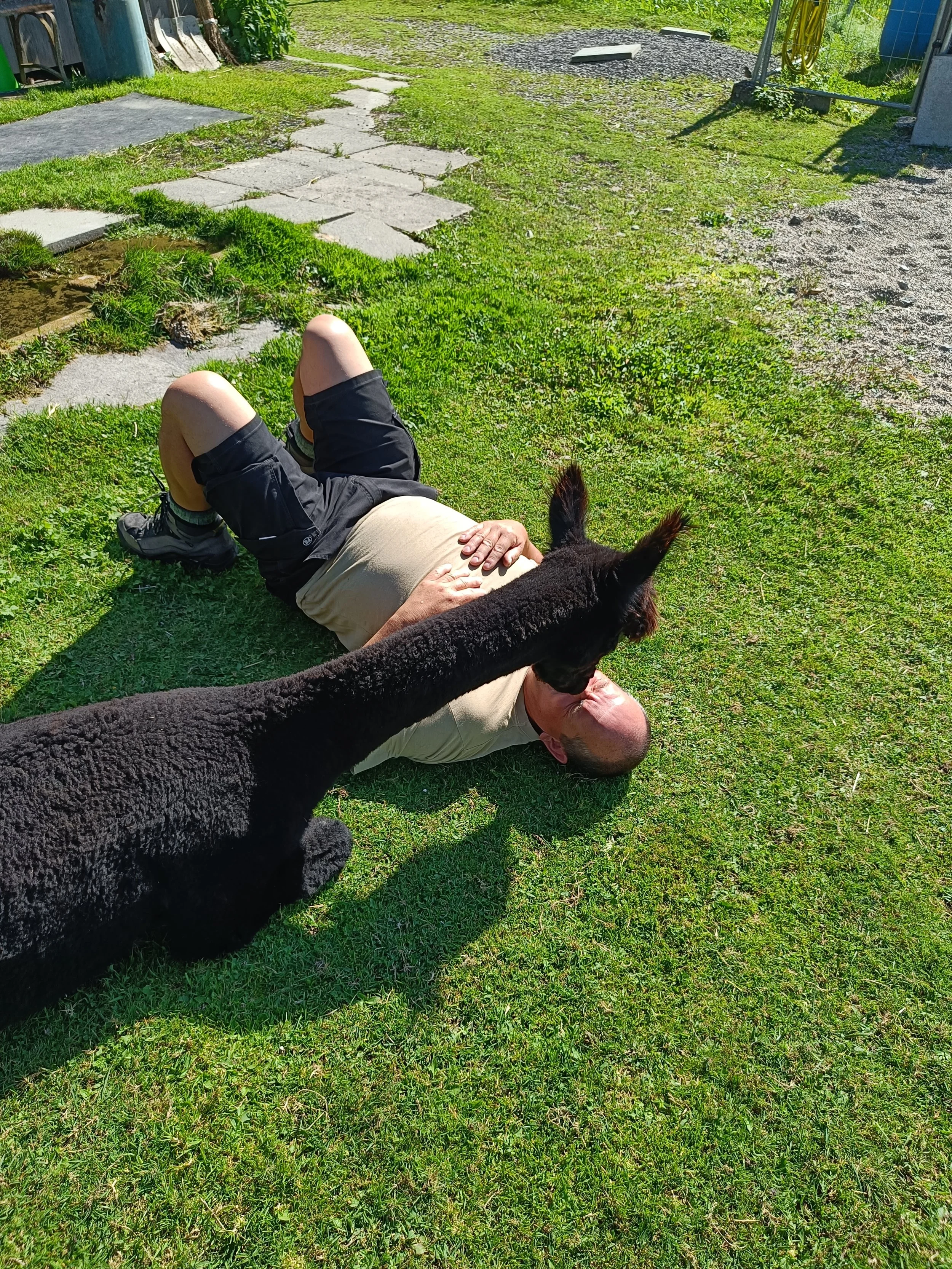 Vertrauen in der Tiergestützten Intervention ist das A und O!