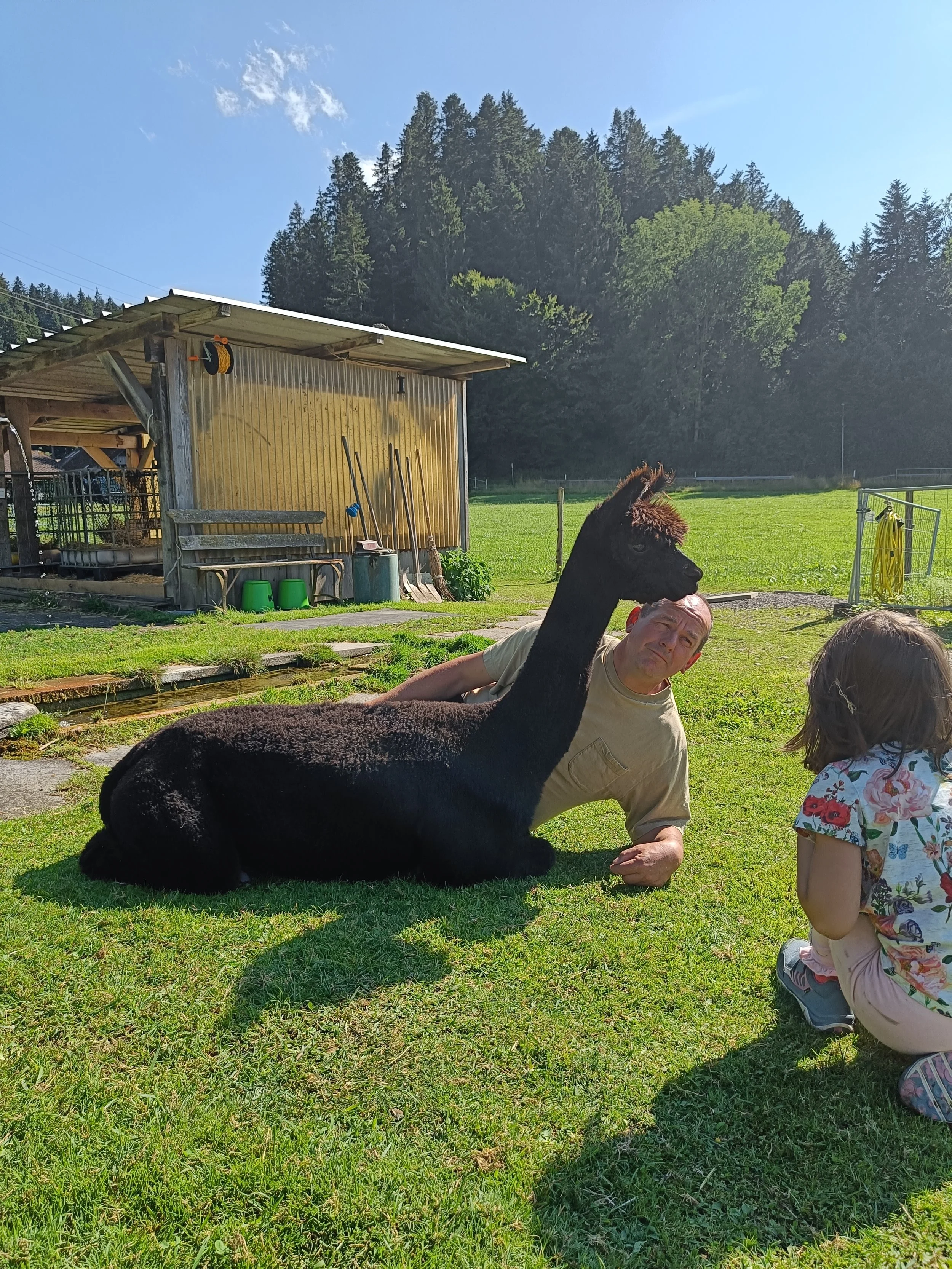 Tiergestützte Pädagogik mit einem Kind.