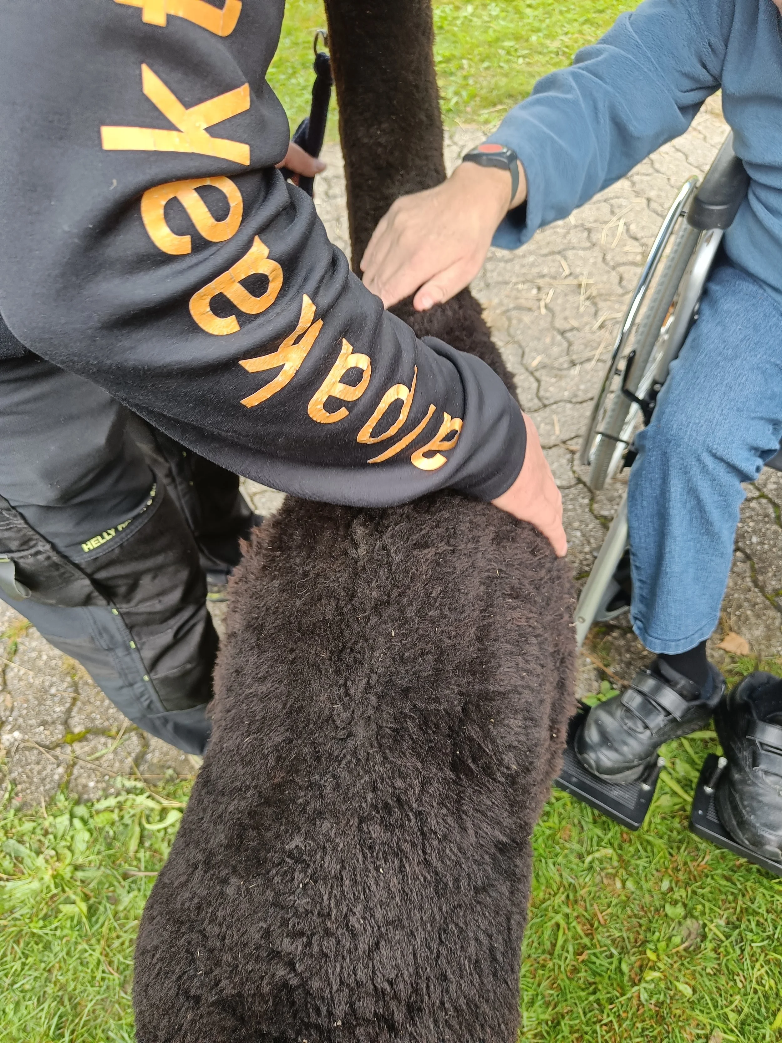 Tiergestützte Therapie in einer Institution.