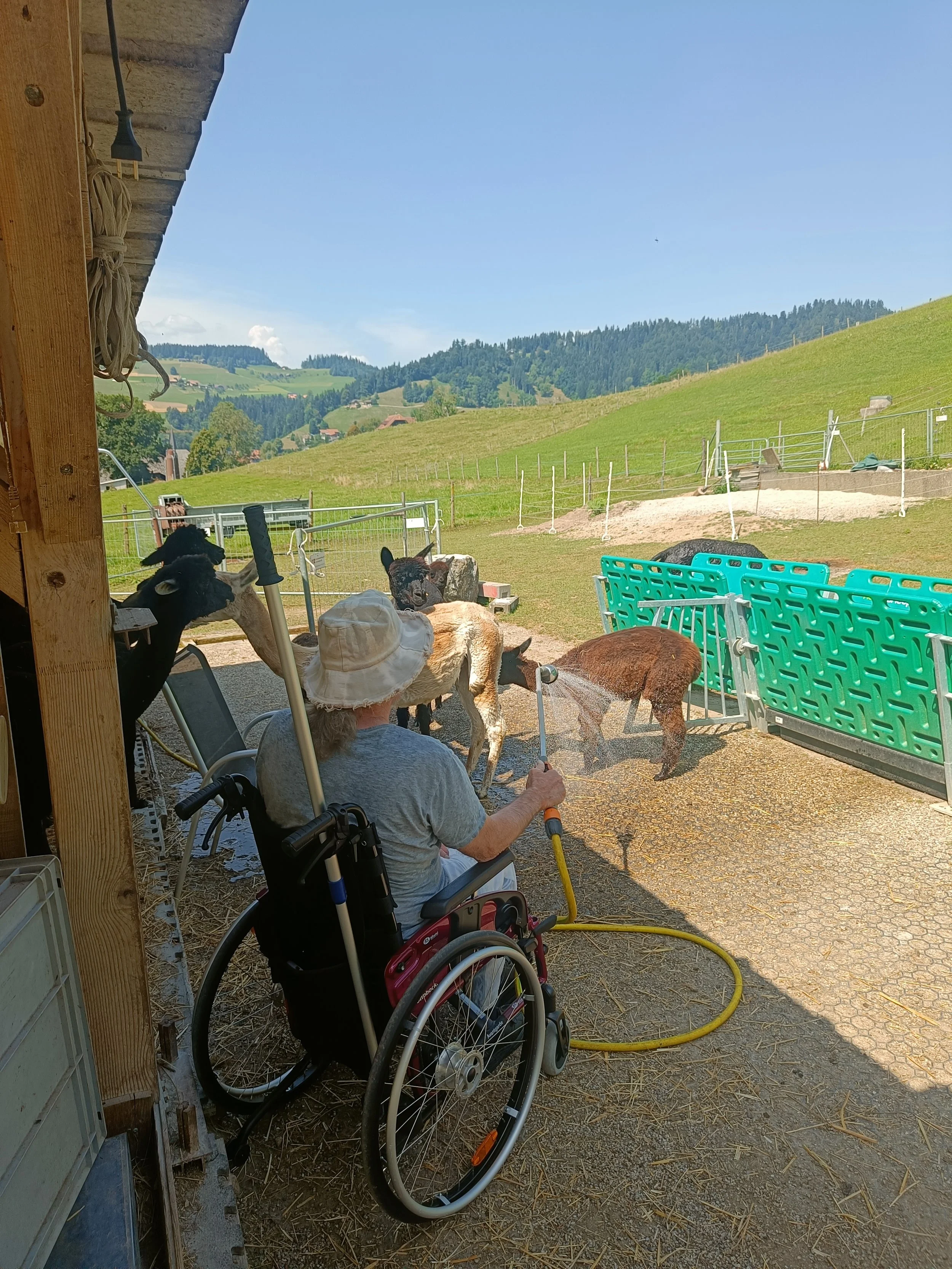 Tiergestützte Therapie, zurück in den Alltag.