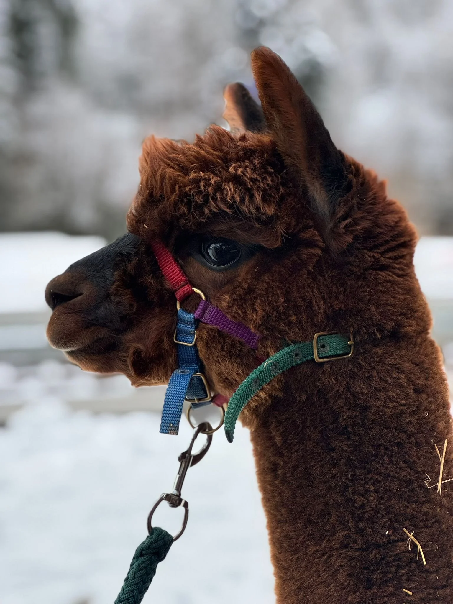 Unterwegs im Winter.