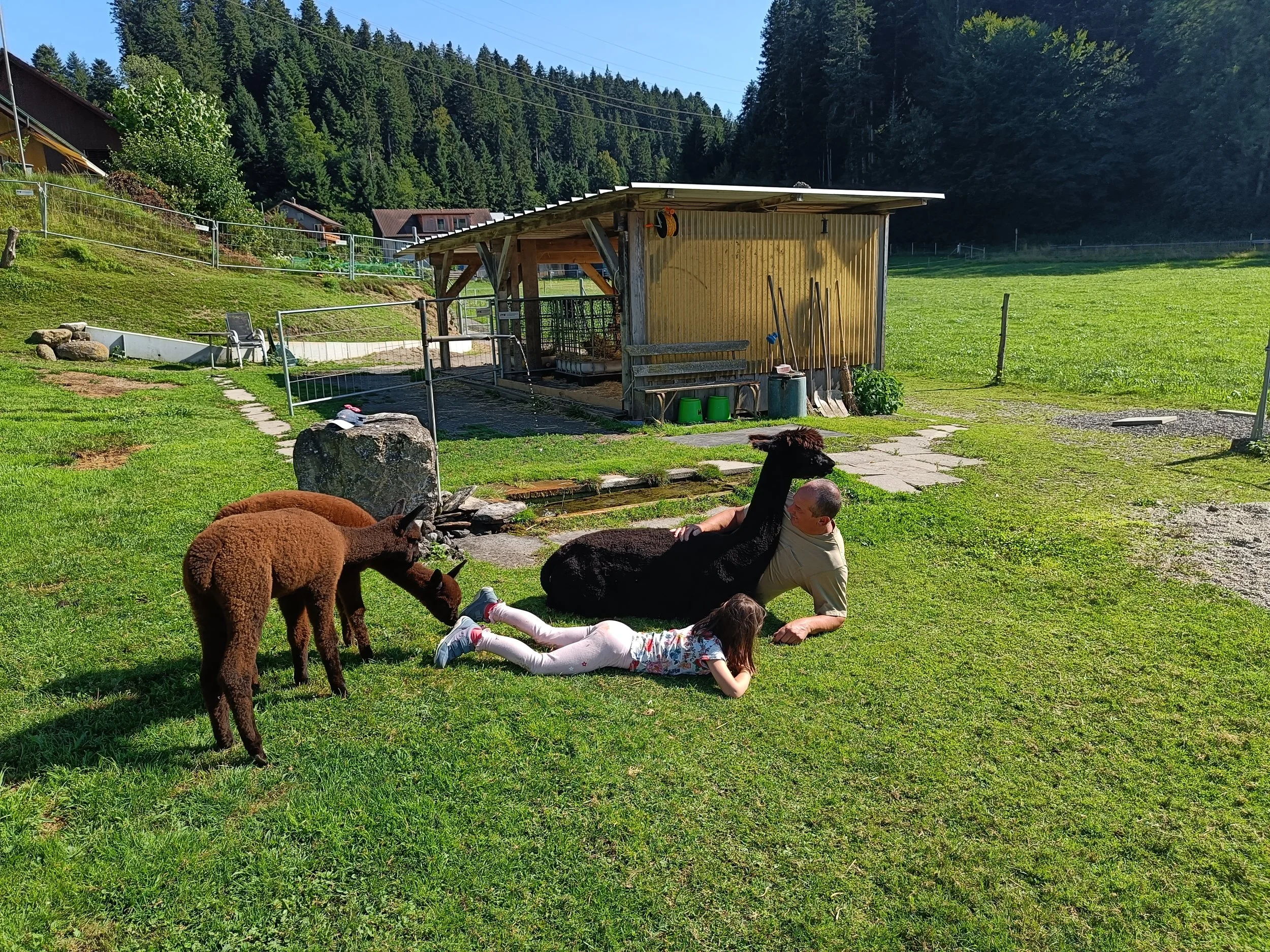 Tiergestützte Pädagogik mit Kind