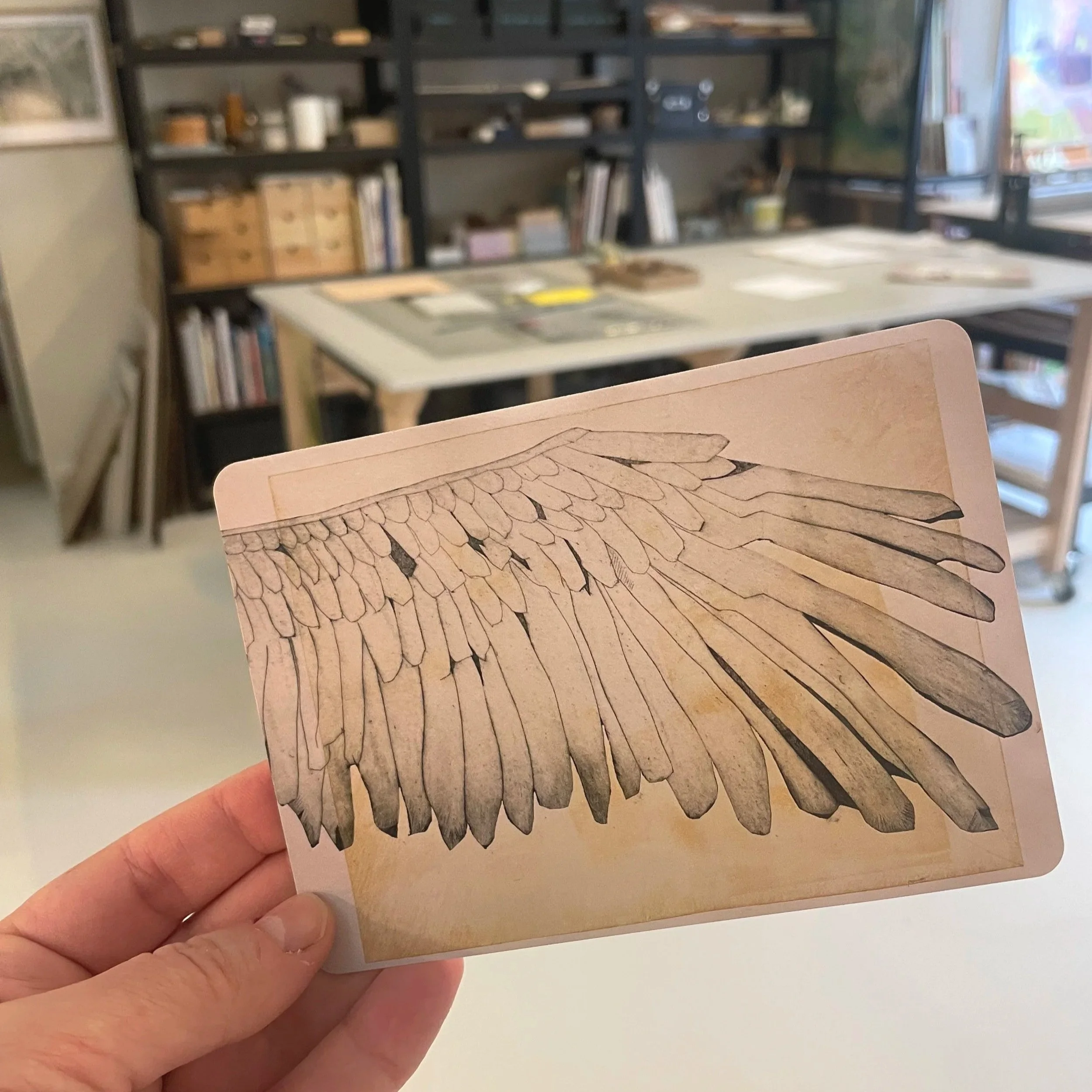 Postkort vinge - 10 stk.