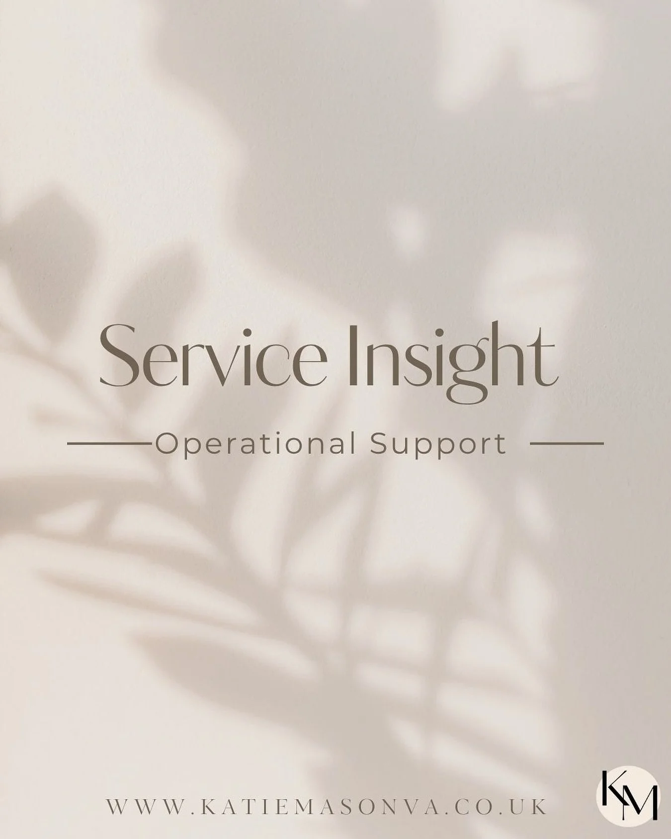 Service Insight: Operational Support ⚙️

Behind every smooth-running business is solid operational support - the kind that keeps things organised, efficient, and moving forward.

From managing systems and streamlining admin to keeping projects, docum