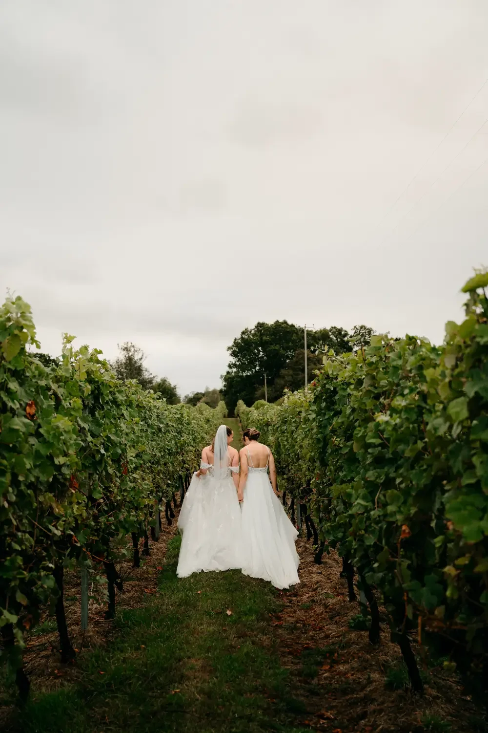 Dorset Wedding Photographer pip&clo04 (1).webp
