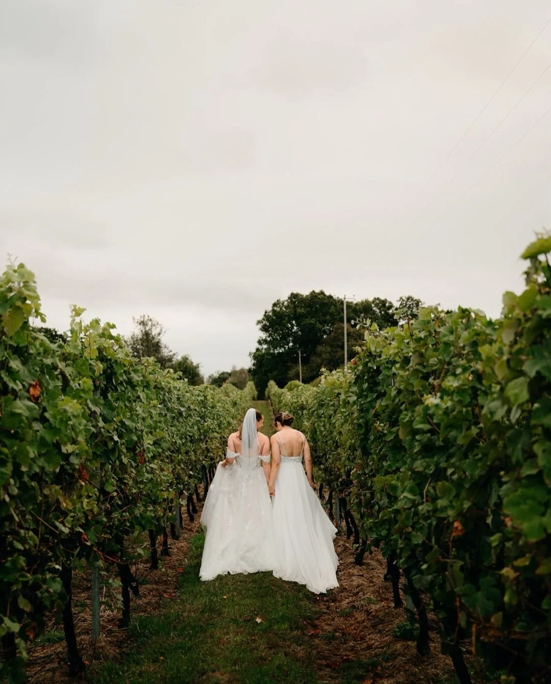 These two!!!! 
Such a perfect day &hearts;️
Thank you to the incredible team at @englishoakvineyard 
Amazing food by @passionfruitcatering 
Beautiful flowers by @dorsetflowerco 
Stunning Hair and makeup by @hairbybeth_w &amp; @lccbeauty.clients 
It w