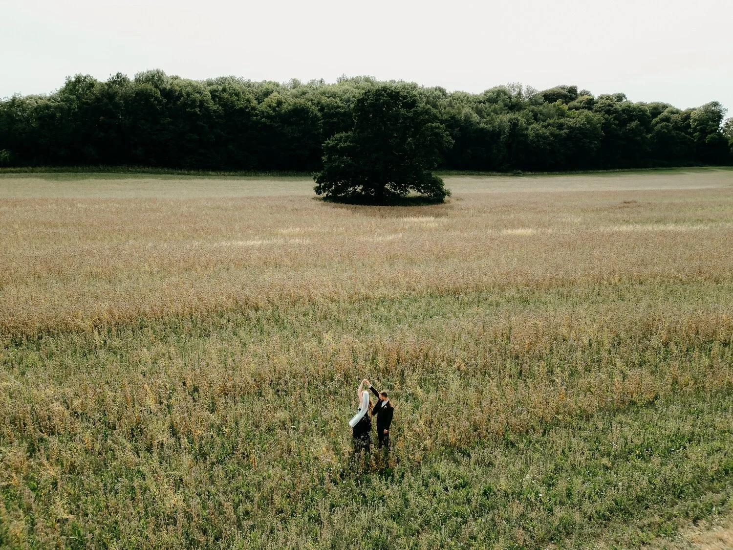 Bride & Groom dancing in front of large oak tree in field in front of a forest.