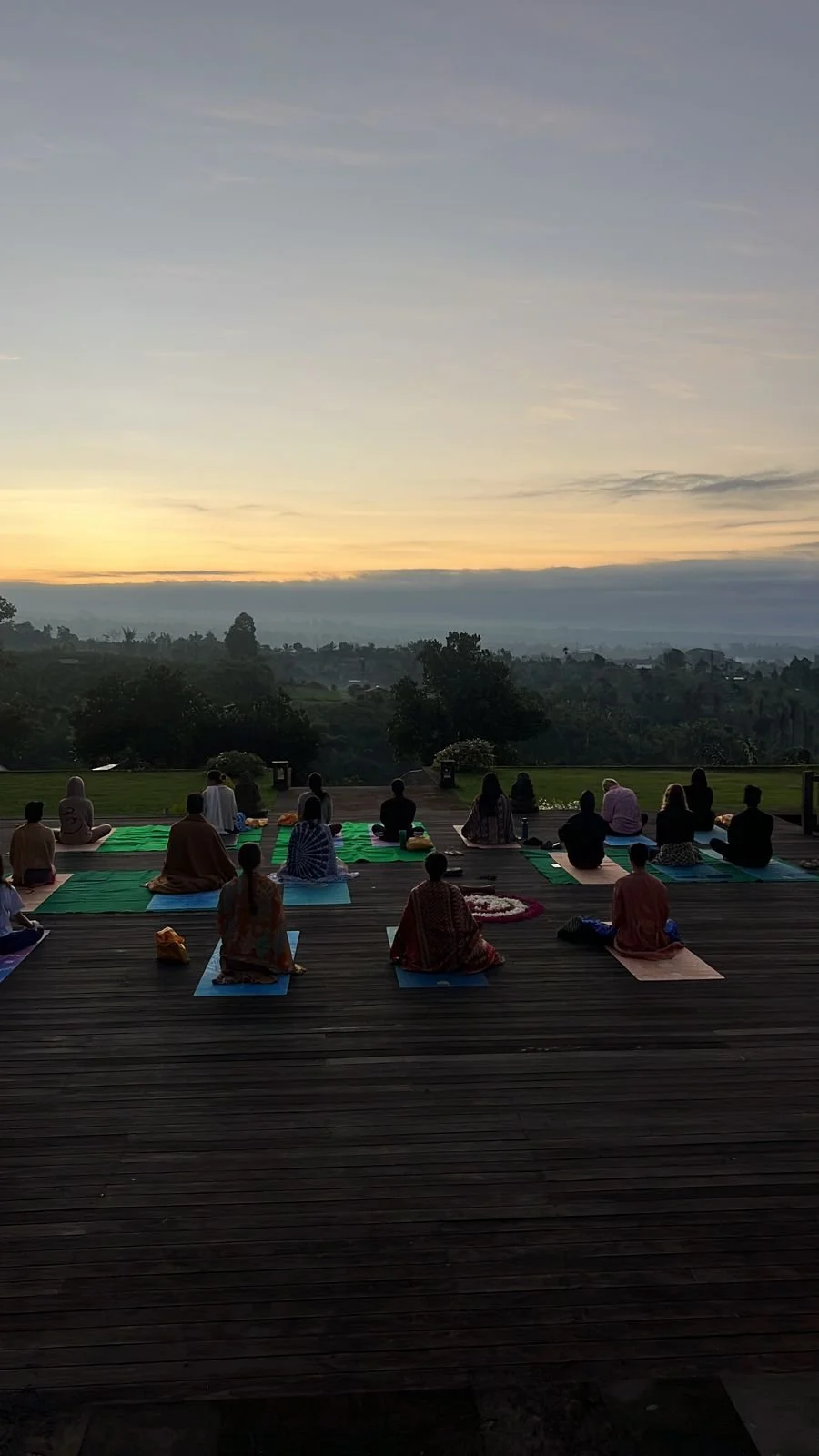 El impacto de la meditación Metta en el corazón y el cuerpo: ciencia, neuroplasticidad y reprogramación emocional.