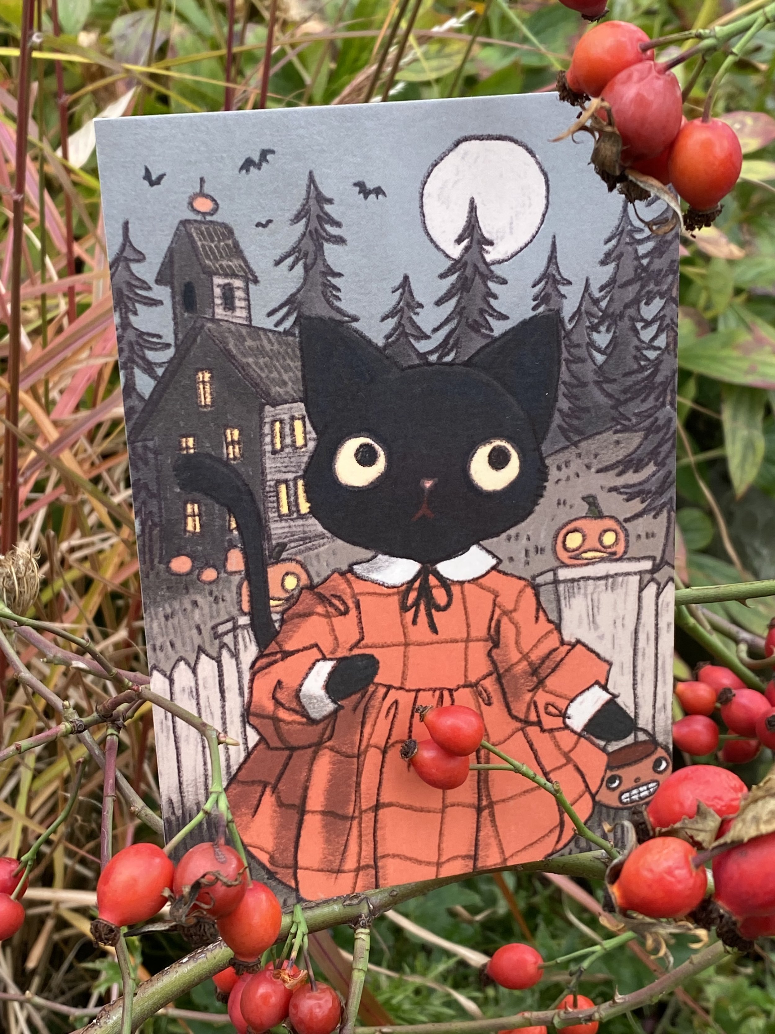 Postkarte - Katze