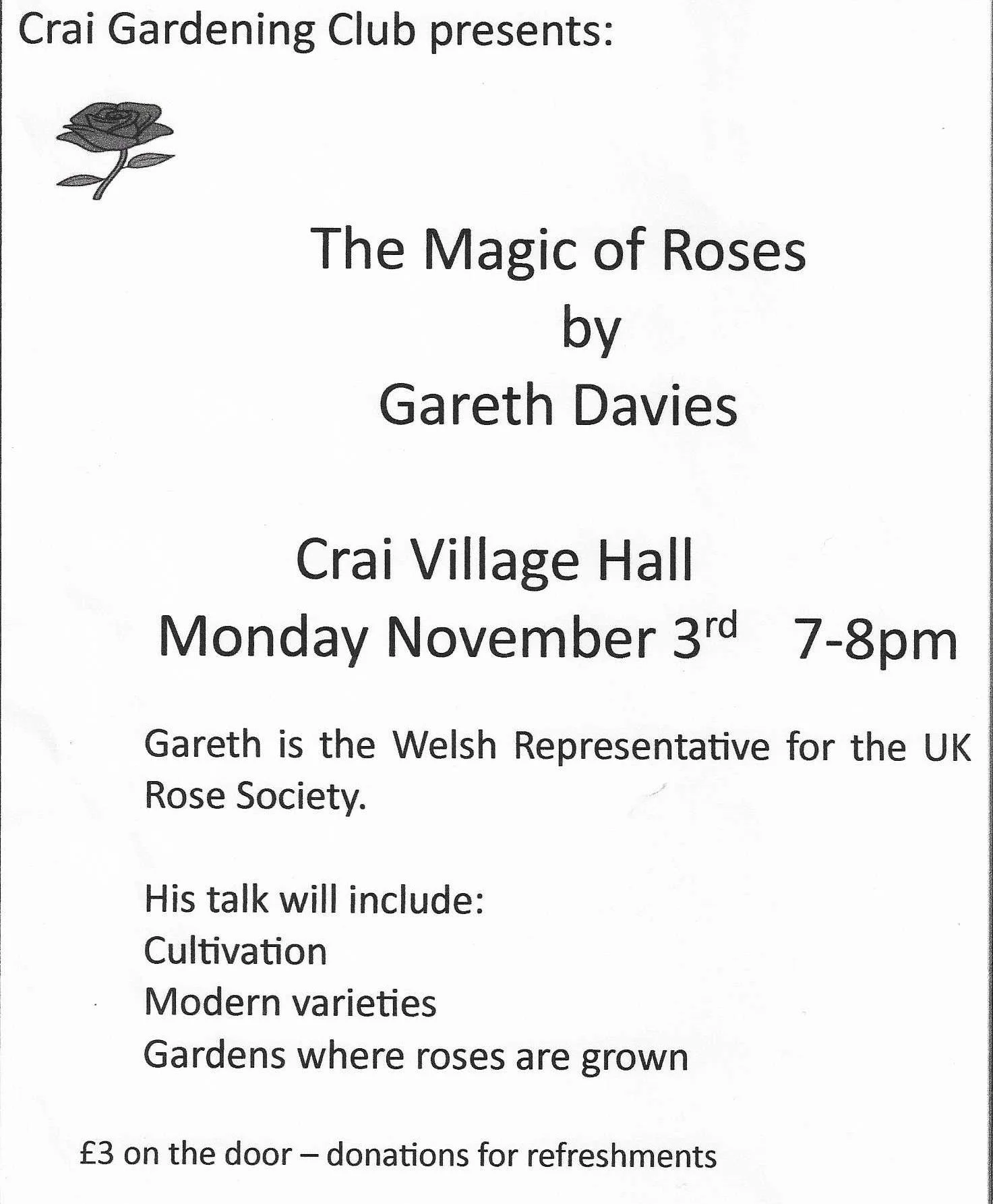 The Magic of Roses