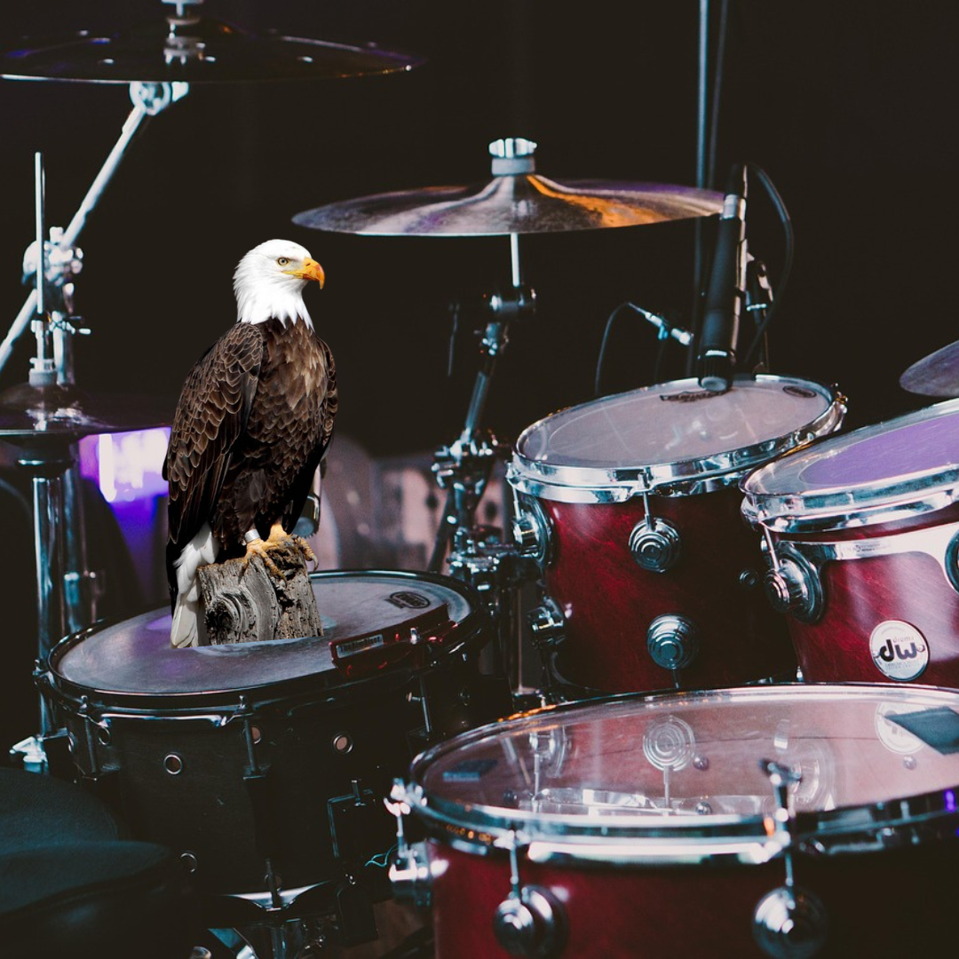 Jus A Bird.png