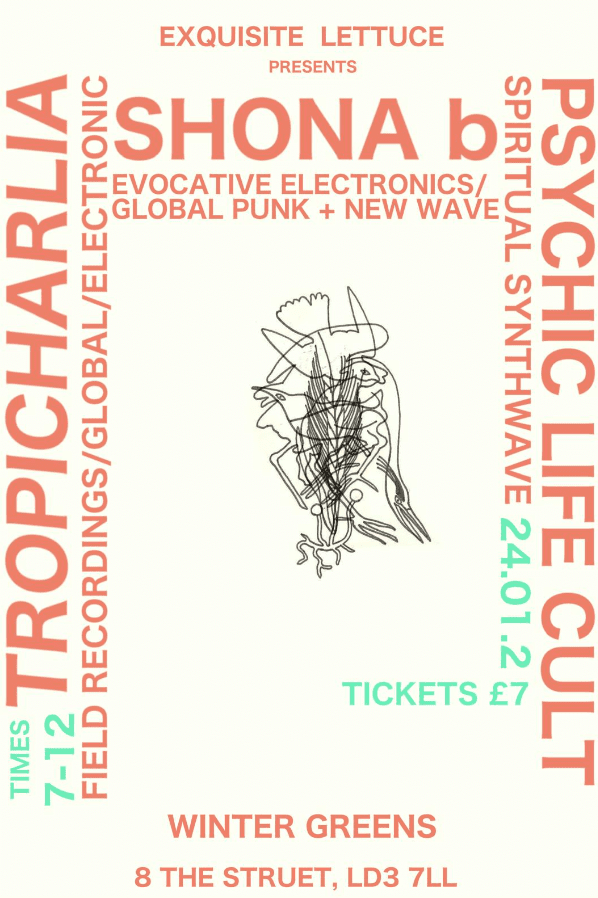 Jan.24.Exquisite Lettuce.png