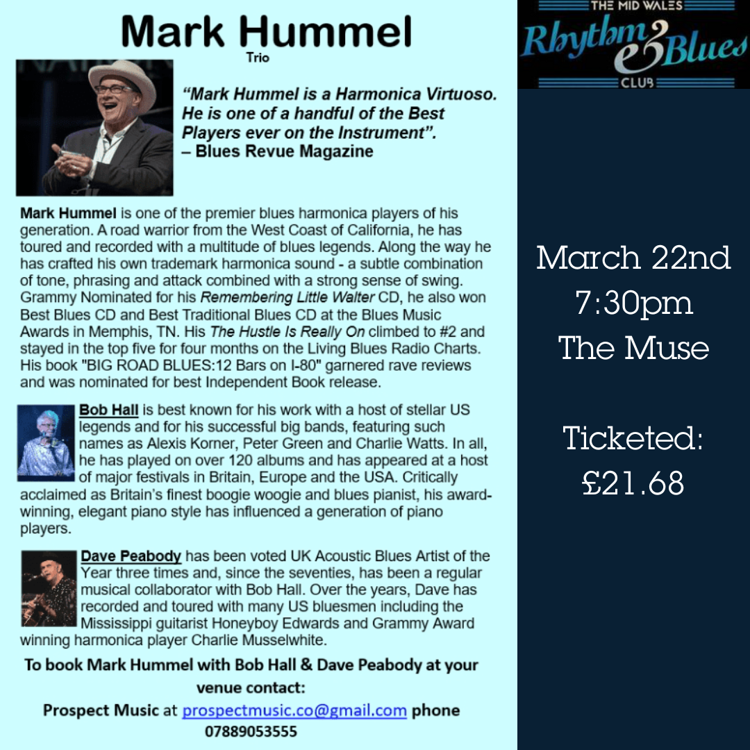 Mid Wales Rhythm & Blues Club: Mark Hummel Trio
