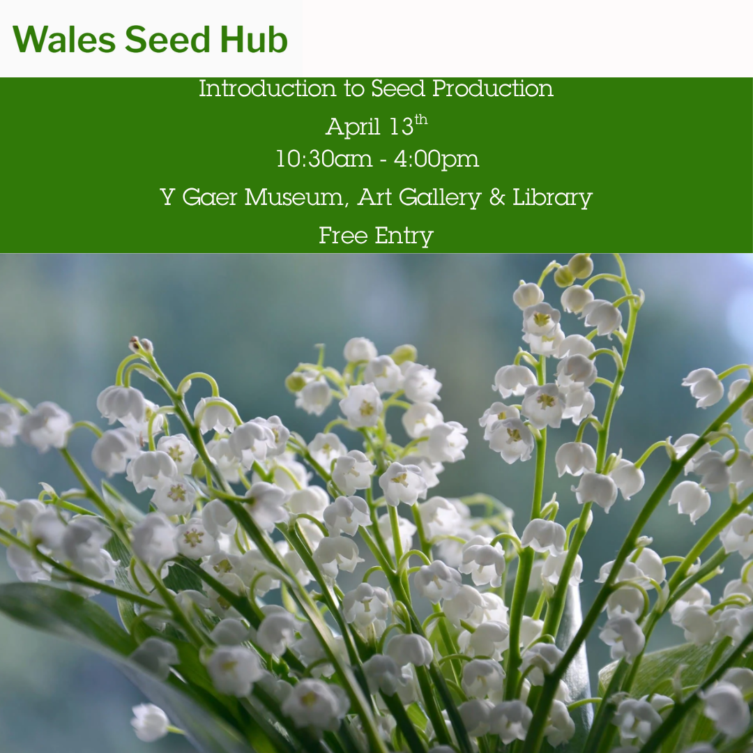 Apr.13.Introduction to Seed Production.png