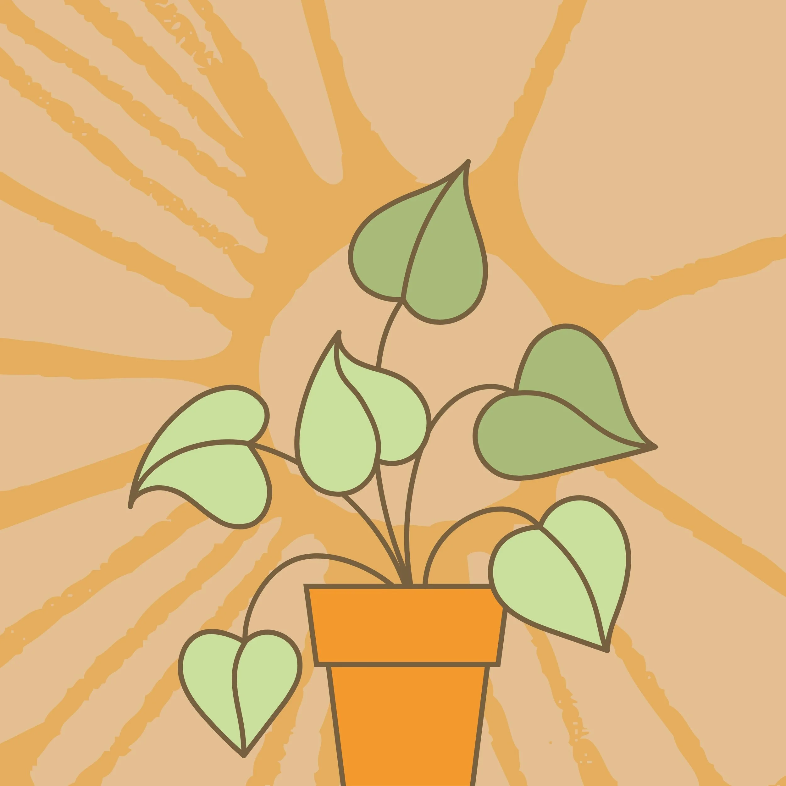 wonderwoman627-plant-7528416.jpg
