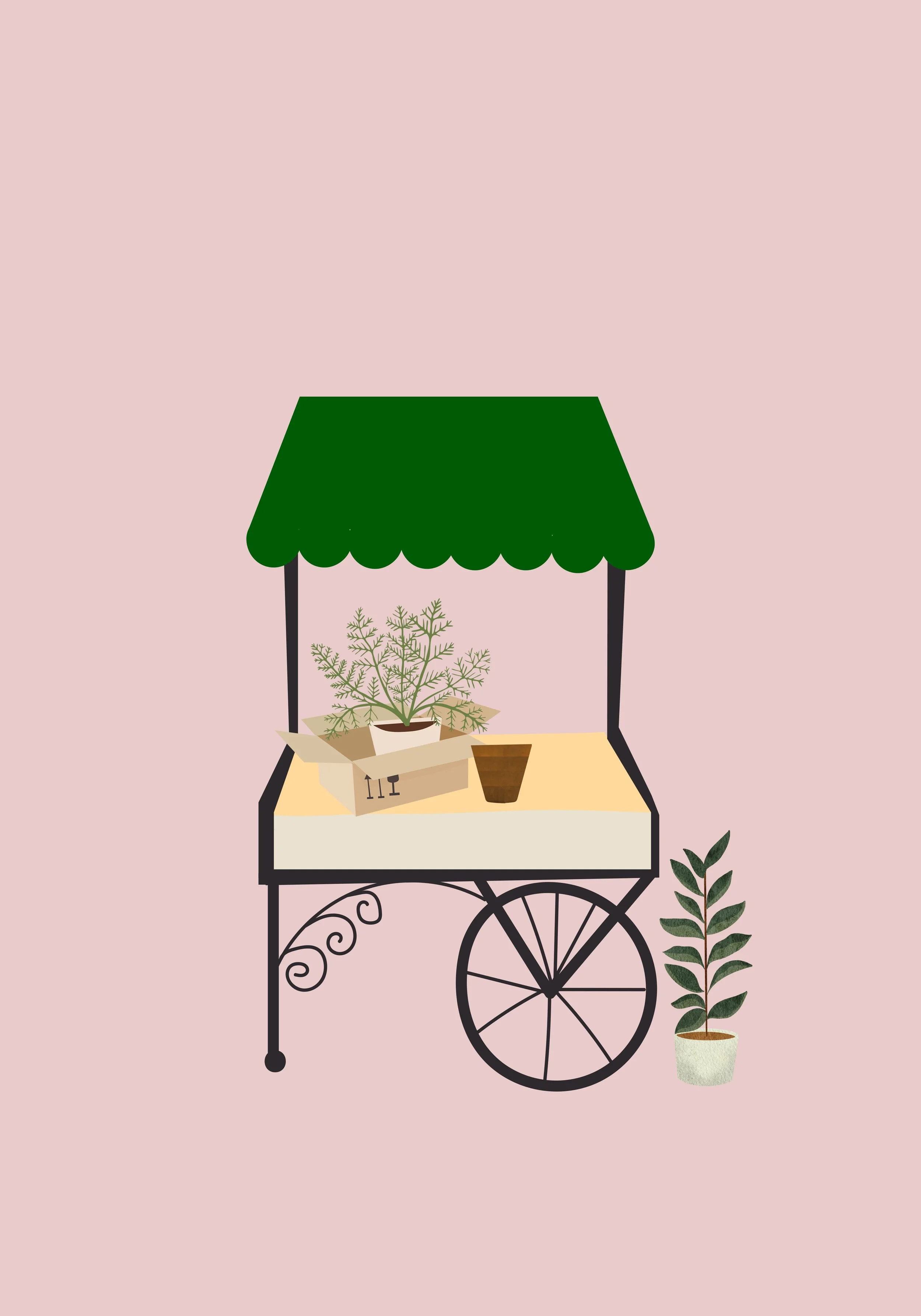 Plant Sale.jpg