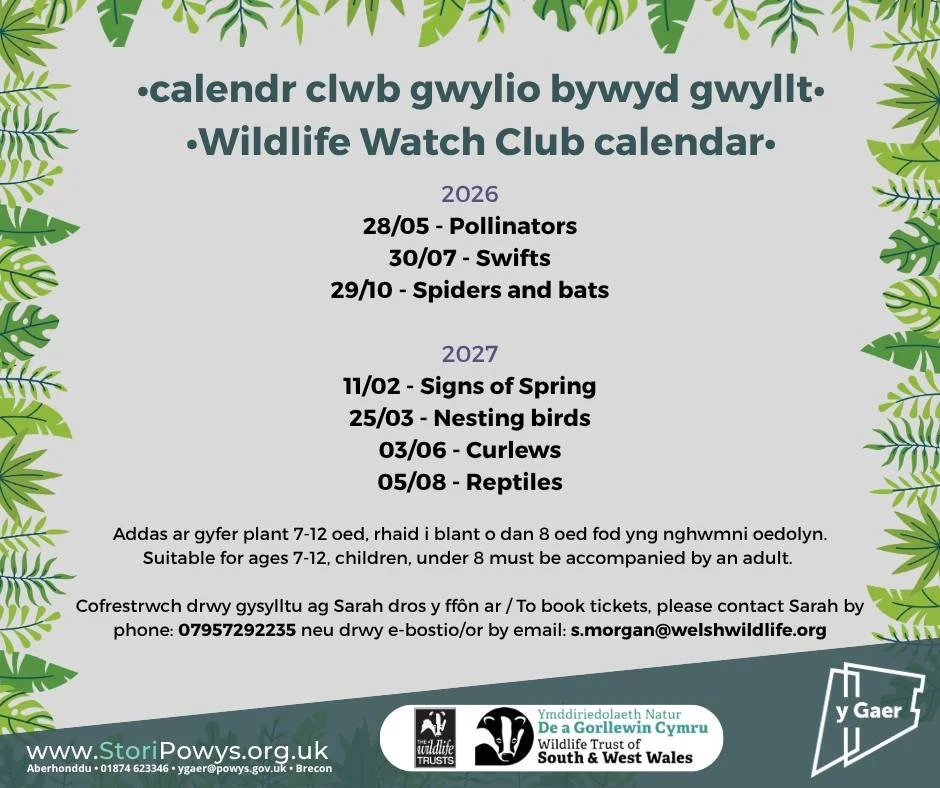 Wildlife Watch Club