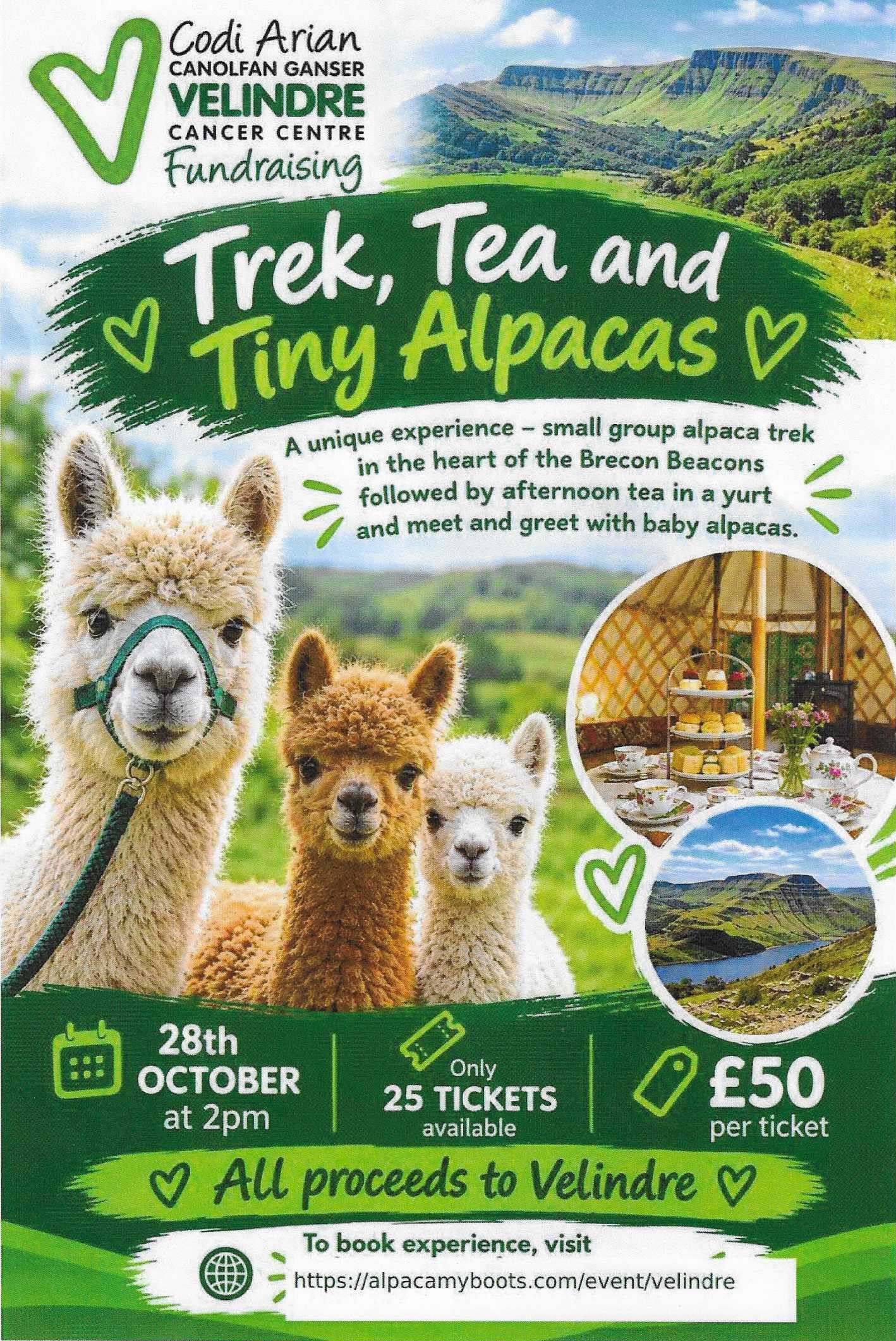 Oct.28.Trek, Tea and Alpacas.jpeg