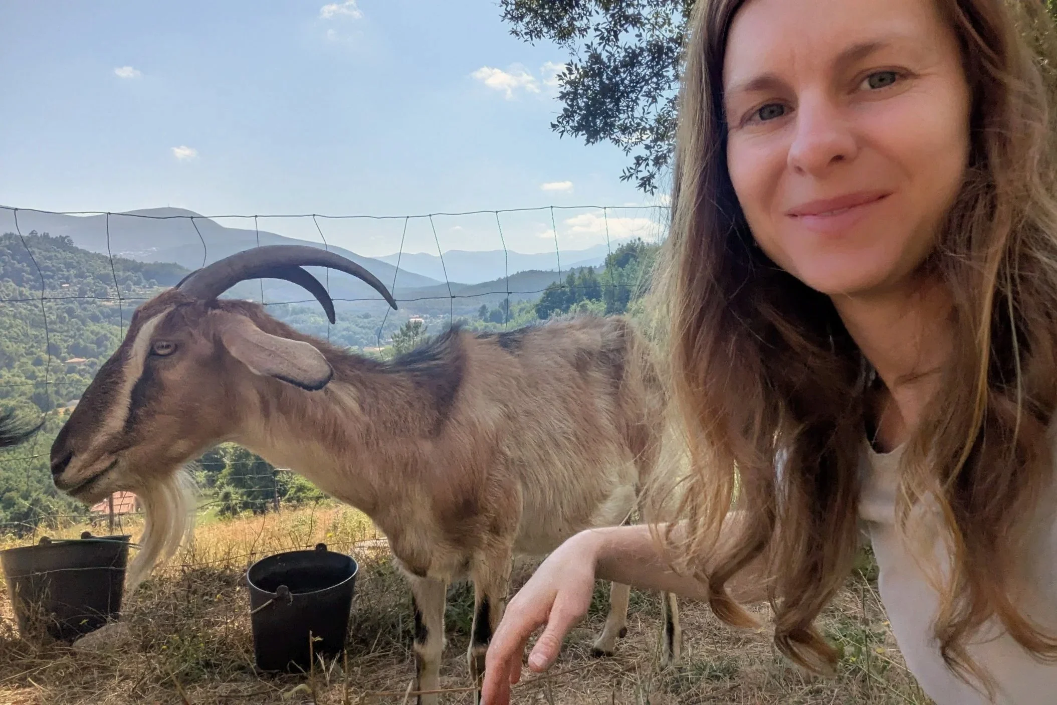 From Temporary Fix to Transformational Path: Why I Became a Professional House Sitter