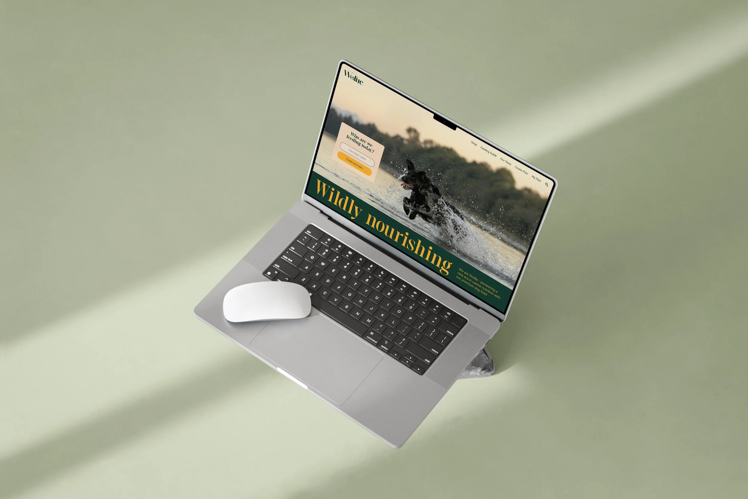 A silver laptop with a black keyboard on a light green surface, displaying a website featuring a black dog running through water with the text 'Wildly nourishing'.