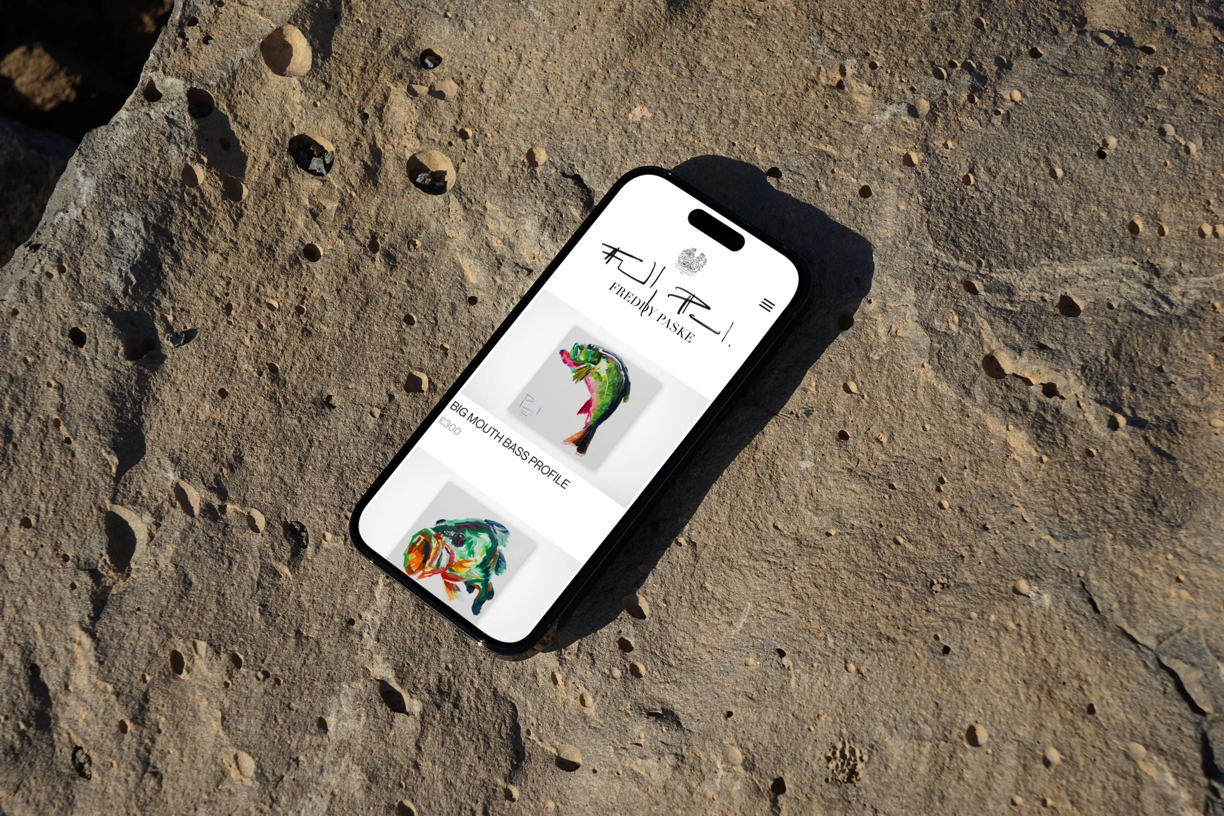 Smartphone displaying an online shop with colorful fish artwork for sale, placed on rocky ground.
