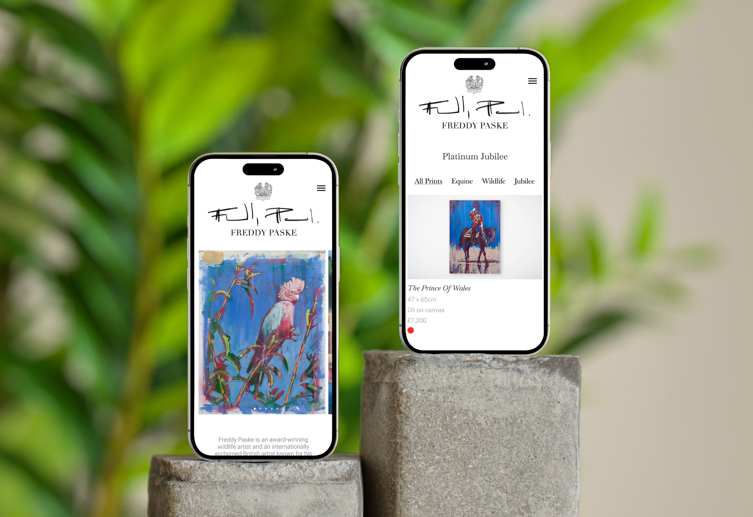 Freddy Paske - Website • UX