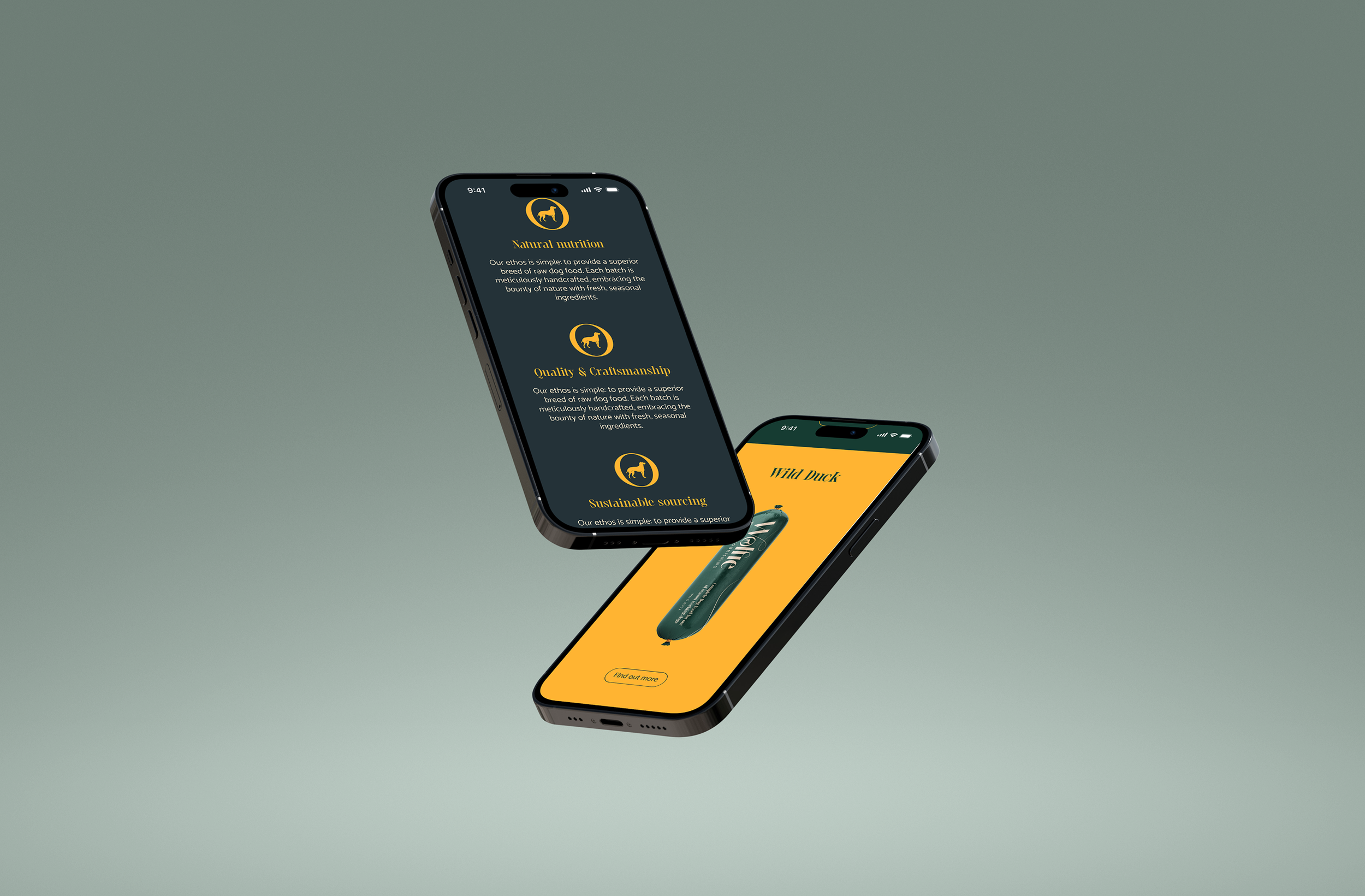 Two smartphones floating against a plain background, one displaying content about raw dog food with icons and text, the other showing an app interface for wild duck dog food with a 'Find out more' button.