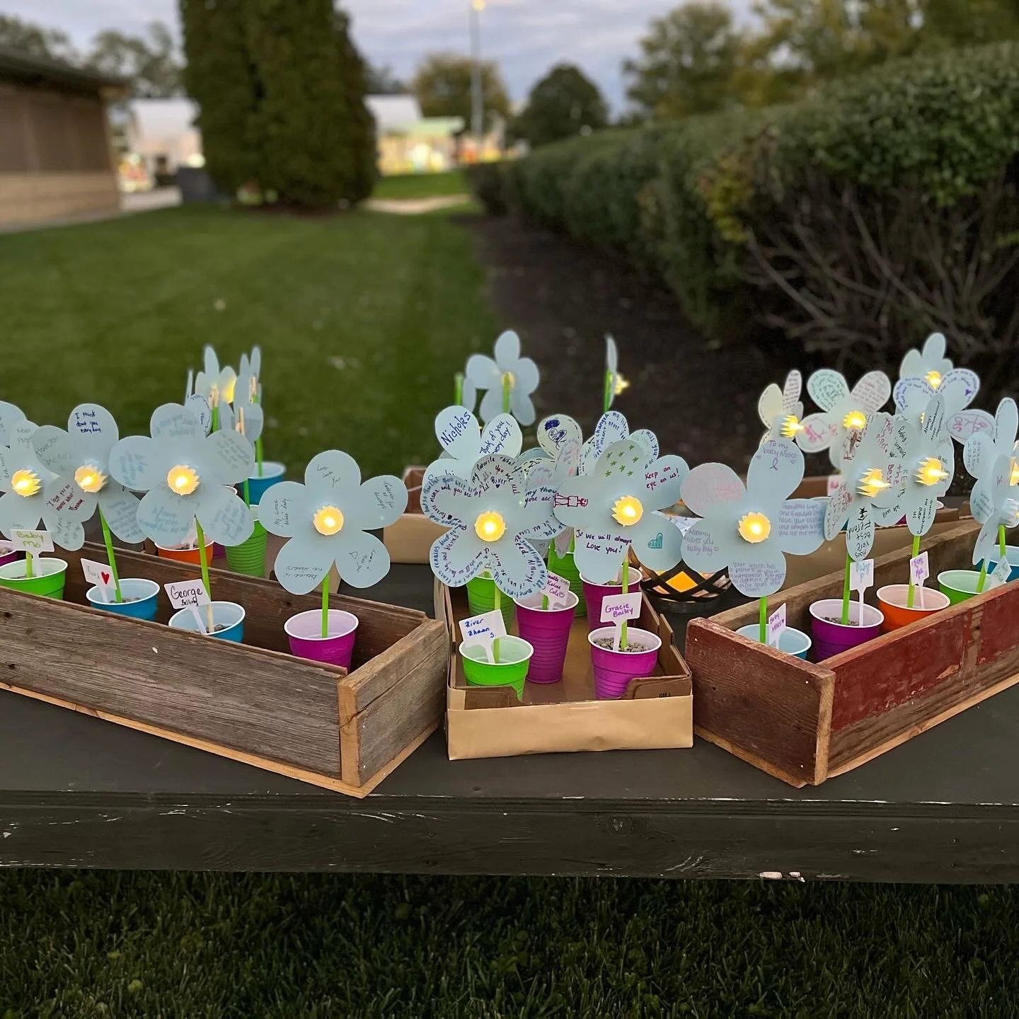 Luminaries from Wave of Light event