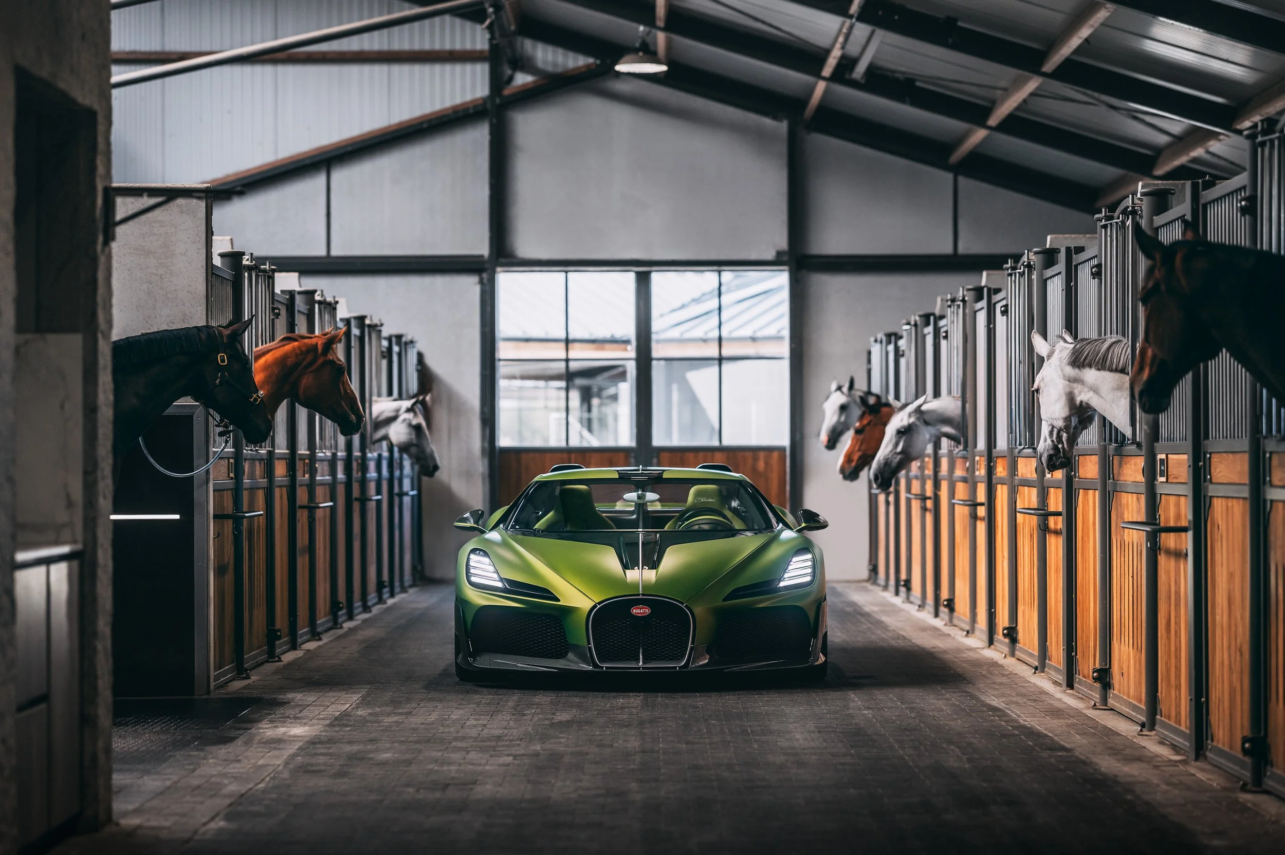 BUGATTI BROUILLARD Stephan Bauer Automotive Photography-4.jpg