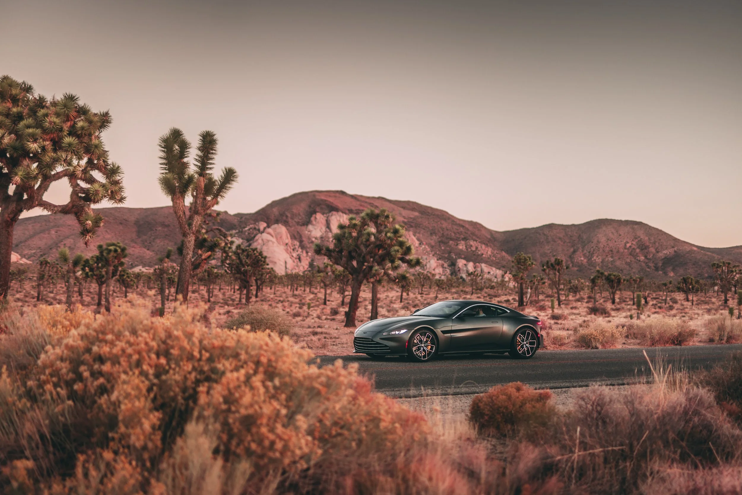 WEBSITE_STEPHAN_BAUER_PORTFOLIO_ASTON_MARTIN_USA_ROADTRIP--8.jpg