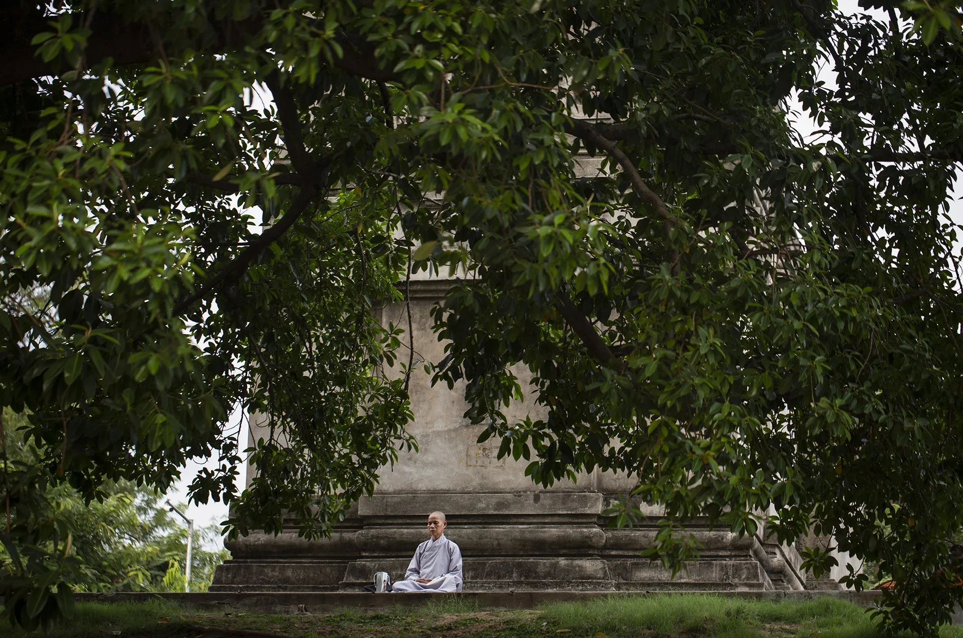 A nun in meditation under the Bodhi tree, Bodh Gaya