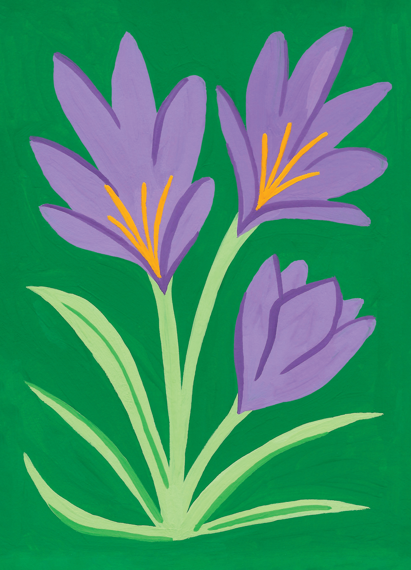 2-February A6.png