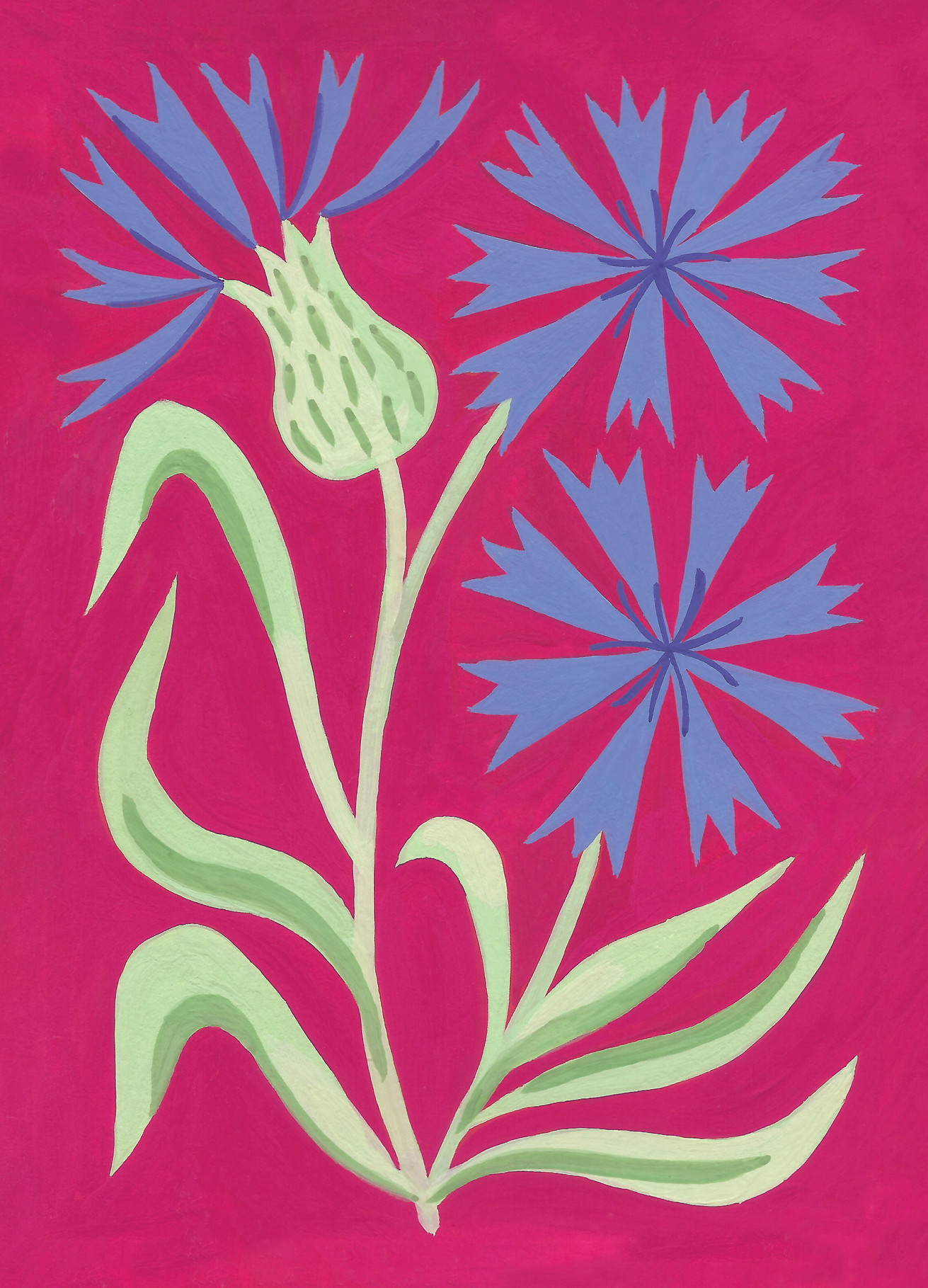 5-May A6.png