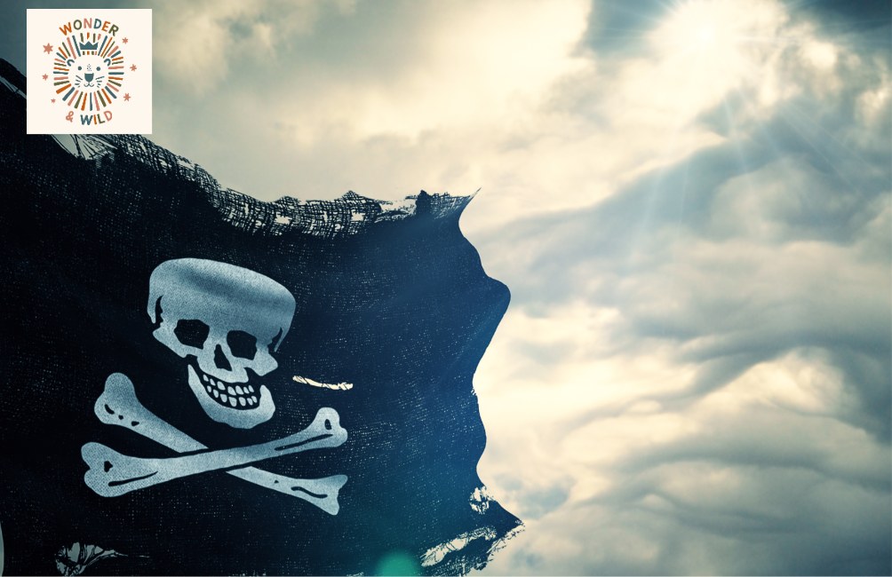 Pirate party