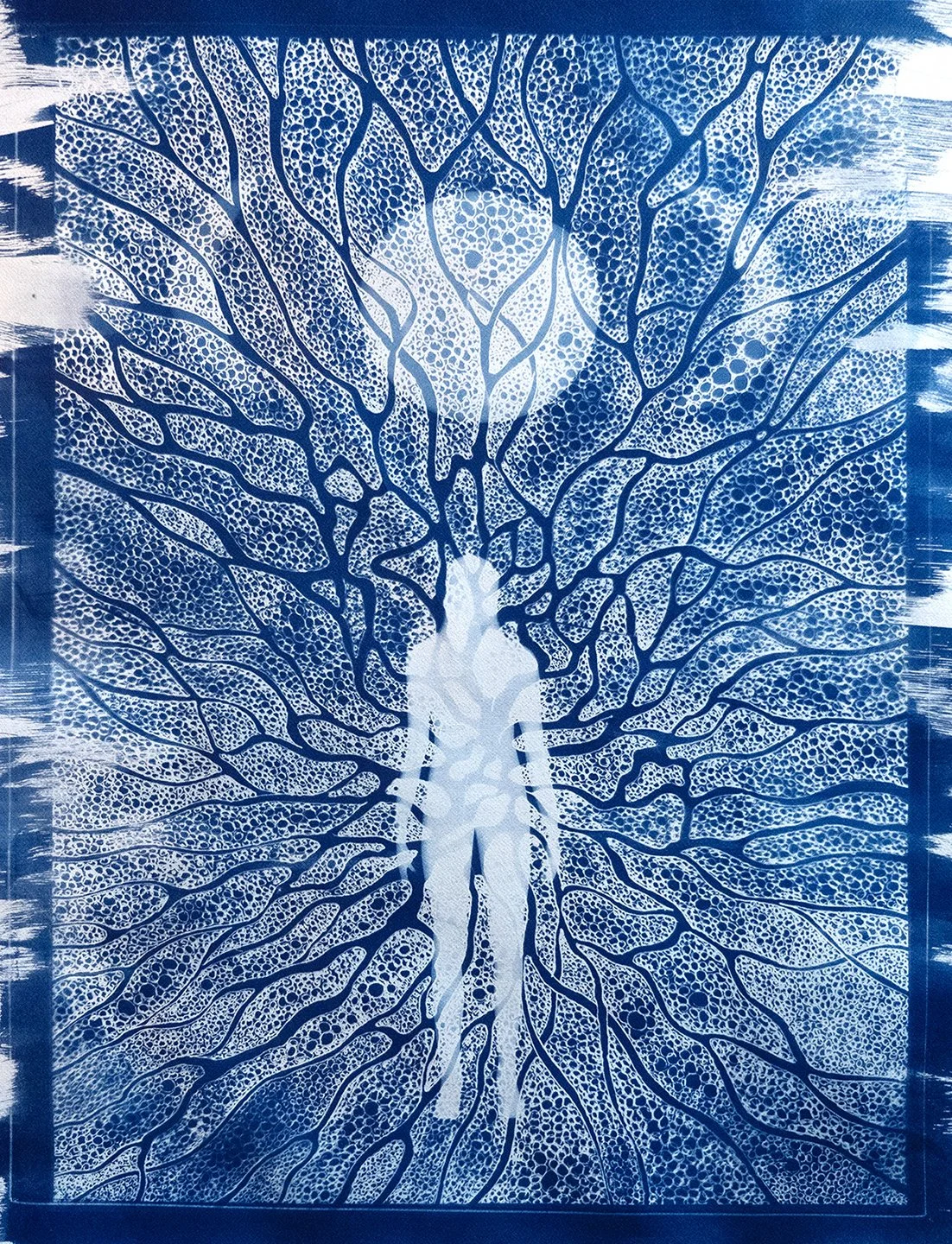 Visceral Connection: Cyanotypes