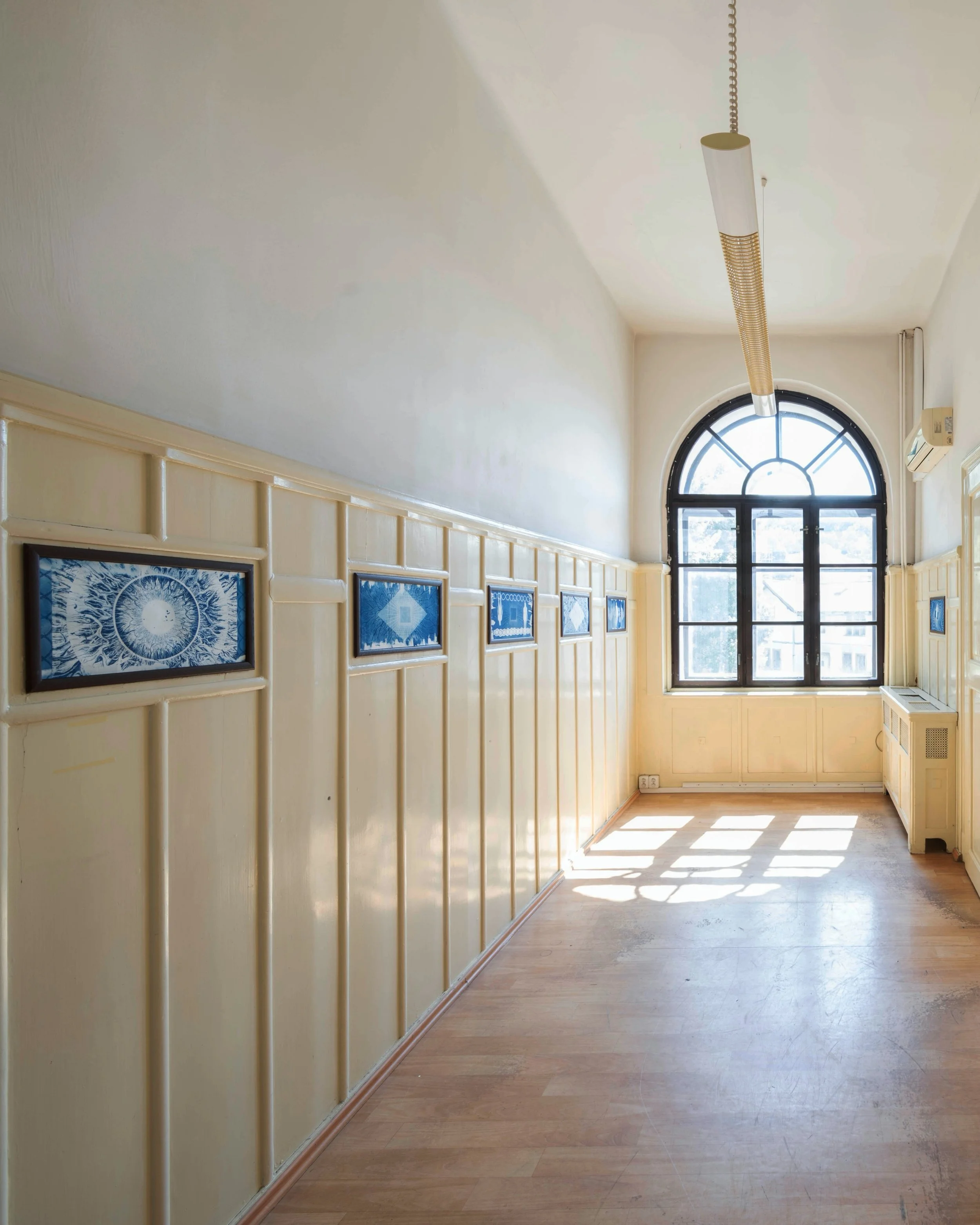 Visceral Connection: Cyanotypes