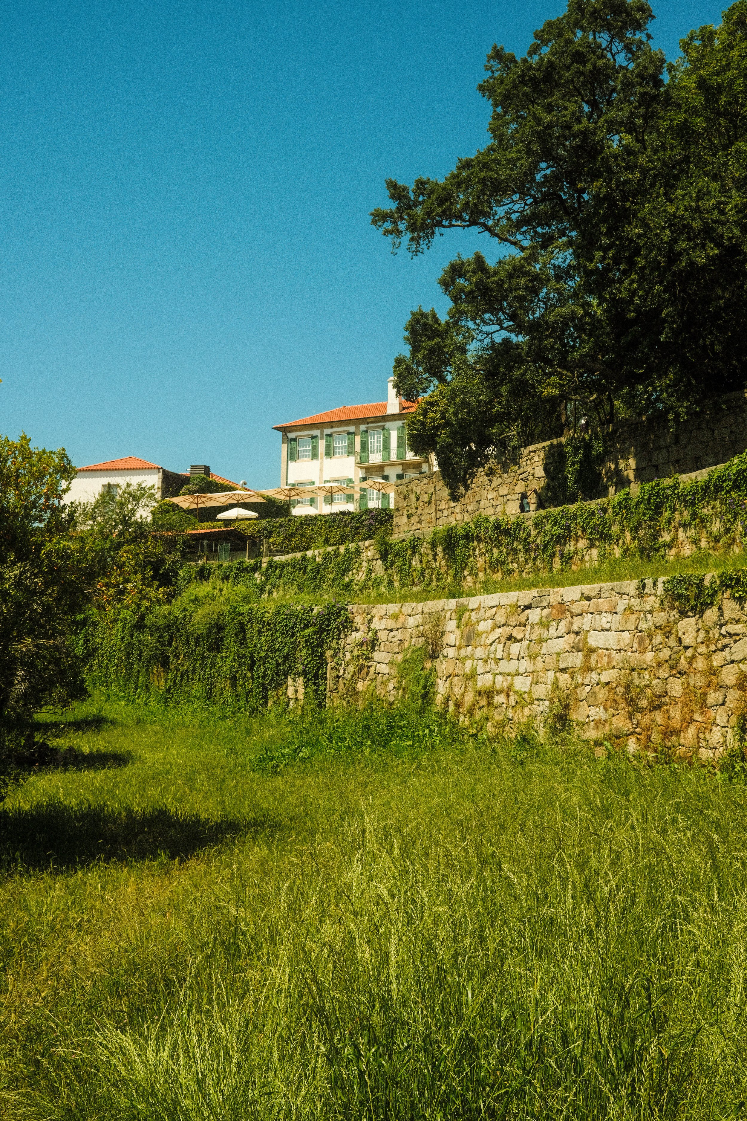 DSCF1282.jpg