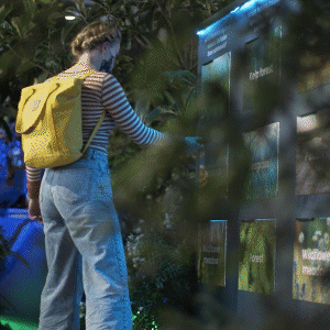 WWF - Force for Nature