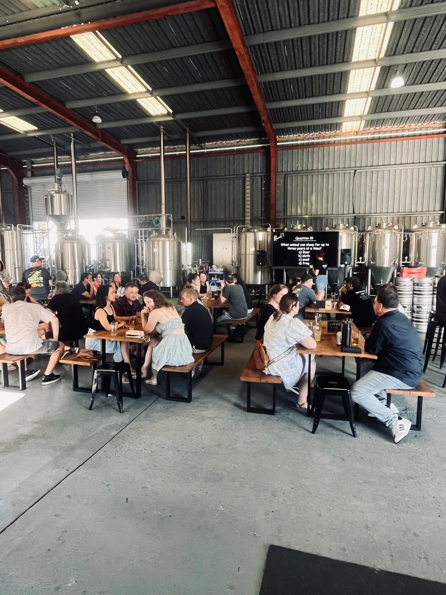 Sparks Fly Single Socials Trivia Gold Coast Brisbane