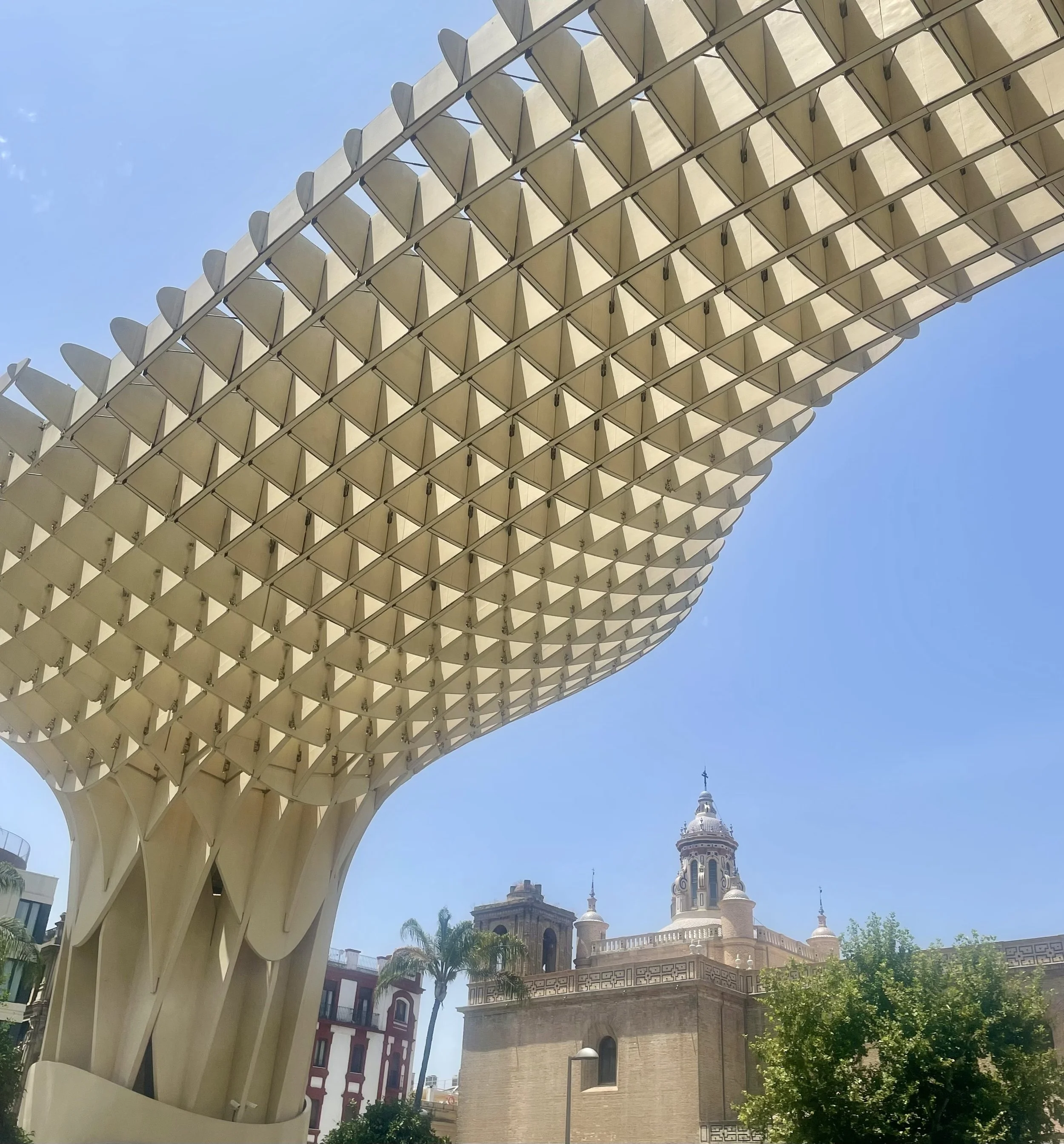 Insights from Above: Learning with Birds about Our Cities