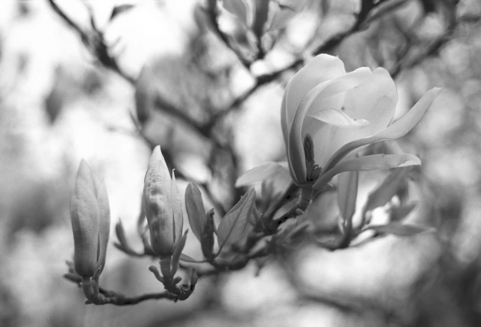 WhatsApp Image 2026-03-09 at 23.32.25.jpeg