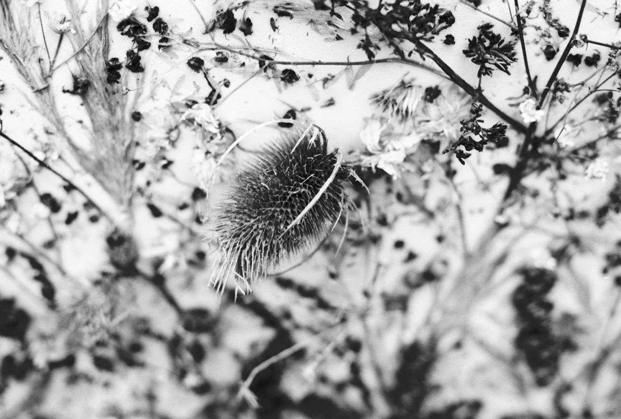 WhatsApp Image 2026-03-09 at 23.31.42.jpeg