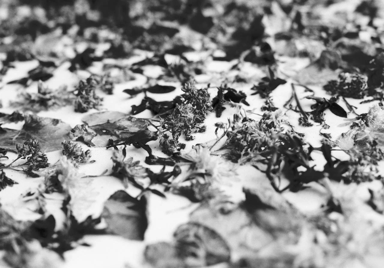 WhatsApp Image 2026-03-09 at 23.31.42.jpeg