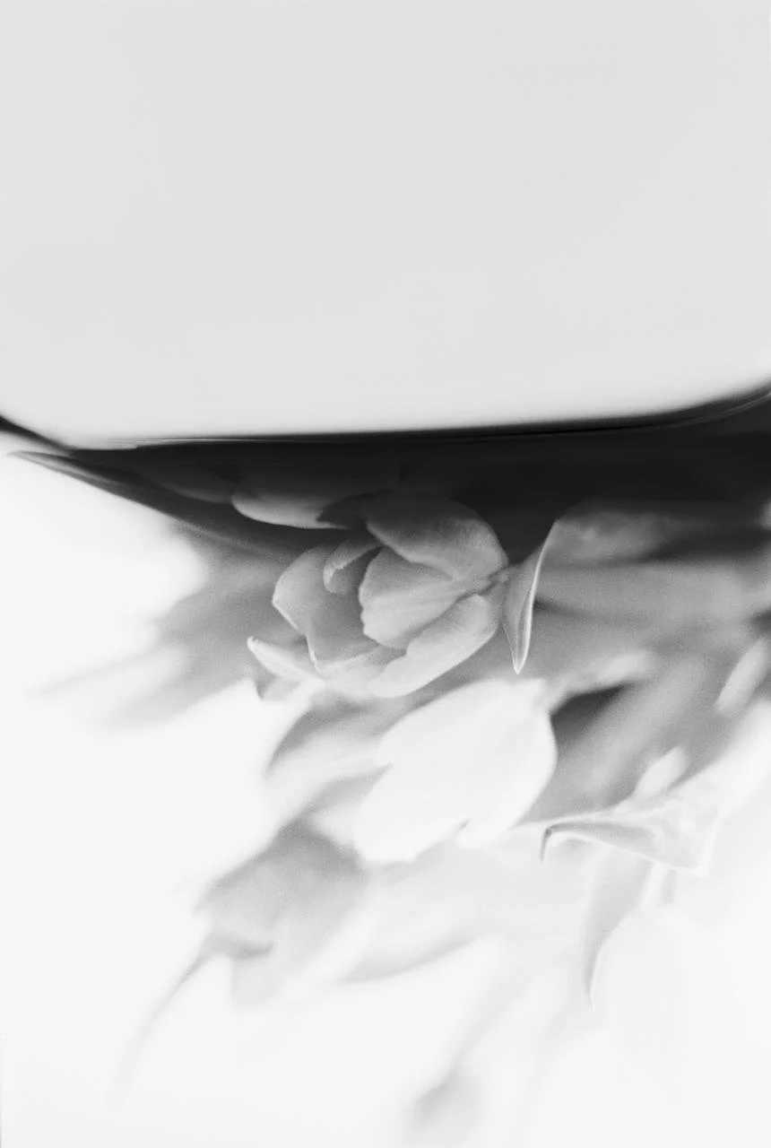 WhatsApp Image 2026-03-09 at 16.03.30.jpeg