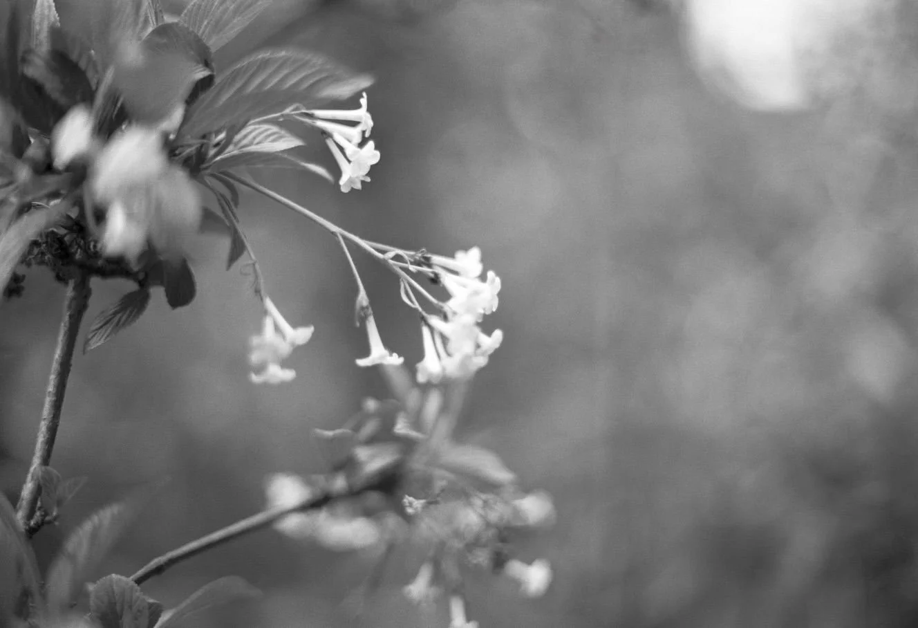 WhatsApp Image 2026-03-09 at 23.32.24.jpeg