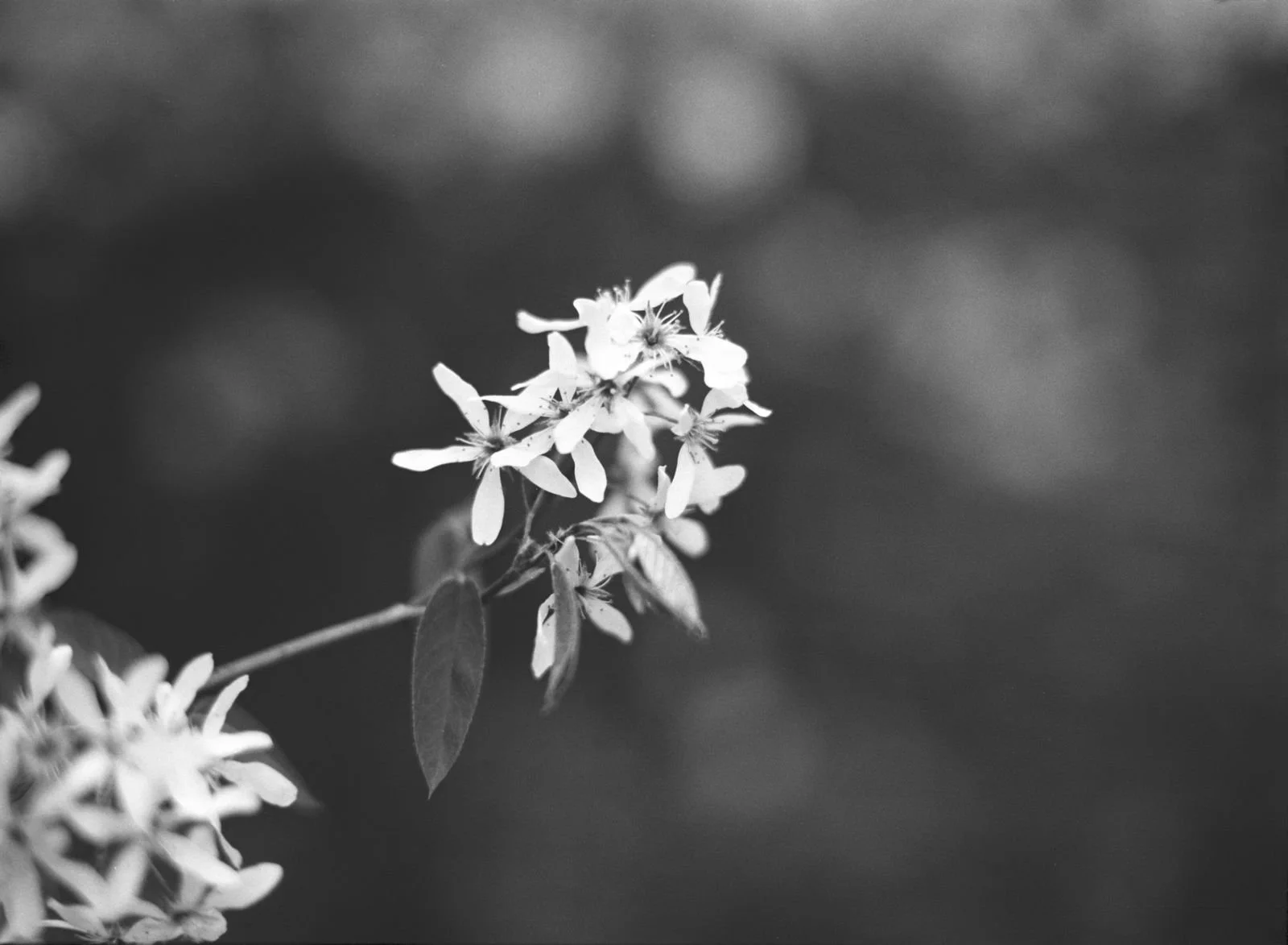 WhatsApp Image 2026-03-09 at 23.32.04.jpeg