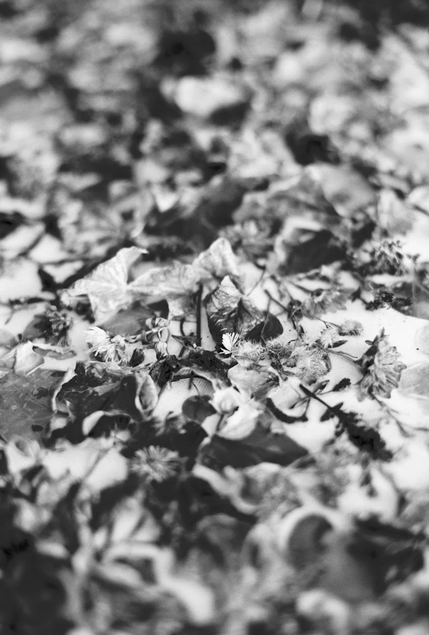 WhatsApp Image 2026-03-09 at 23.31.42.jpeg