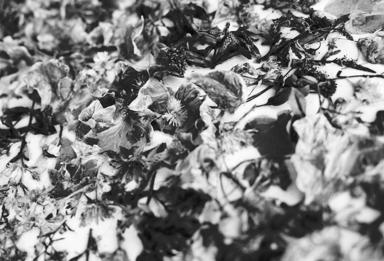 WhatsApp Image 2026-03-09 at 23.31.41.jpeg