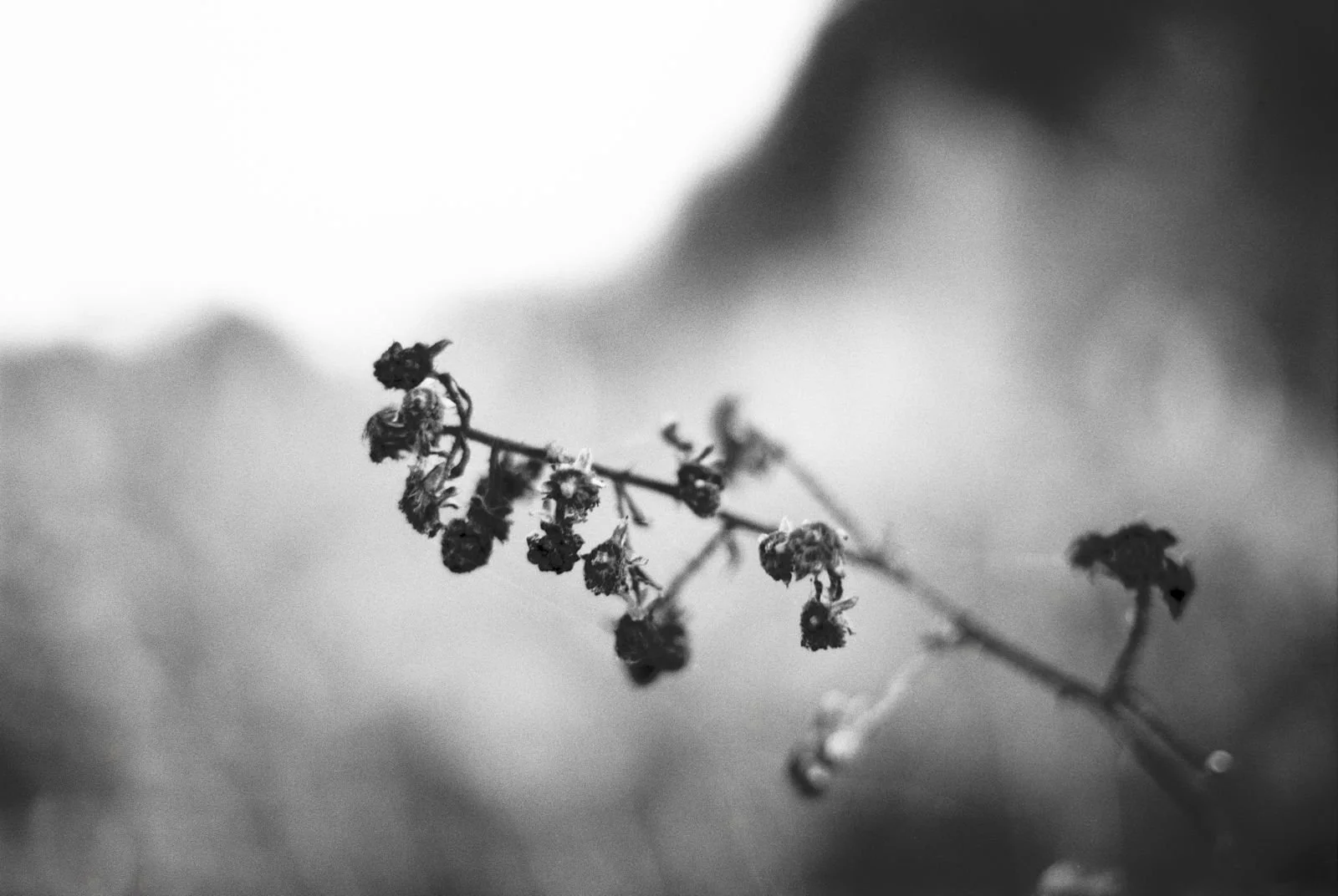 WhatsApp Image 2026-03-09 at 23.32.24.jpeg